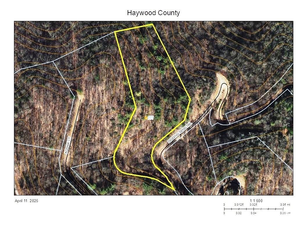 Preserve at Chestnut Flats - Land
