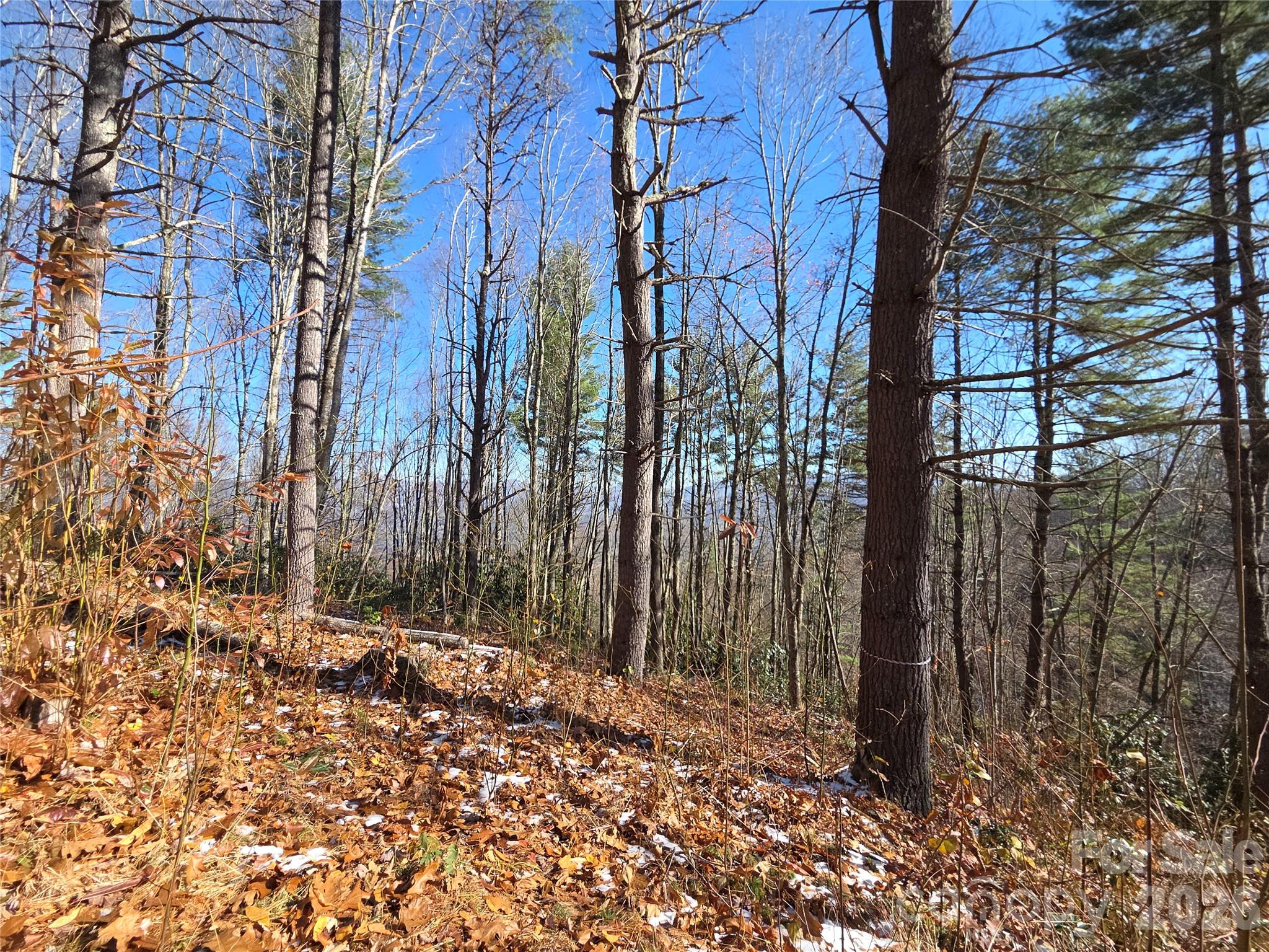 Preserve at Chestnut Flats - Land