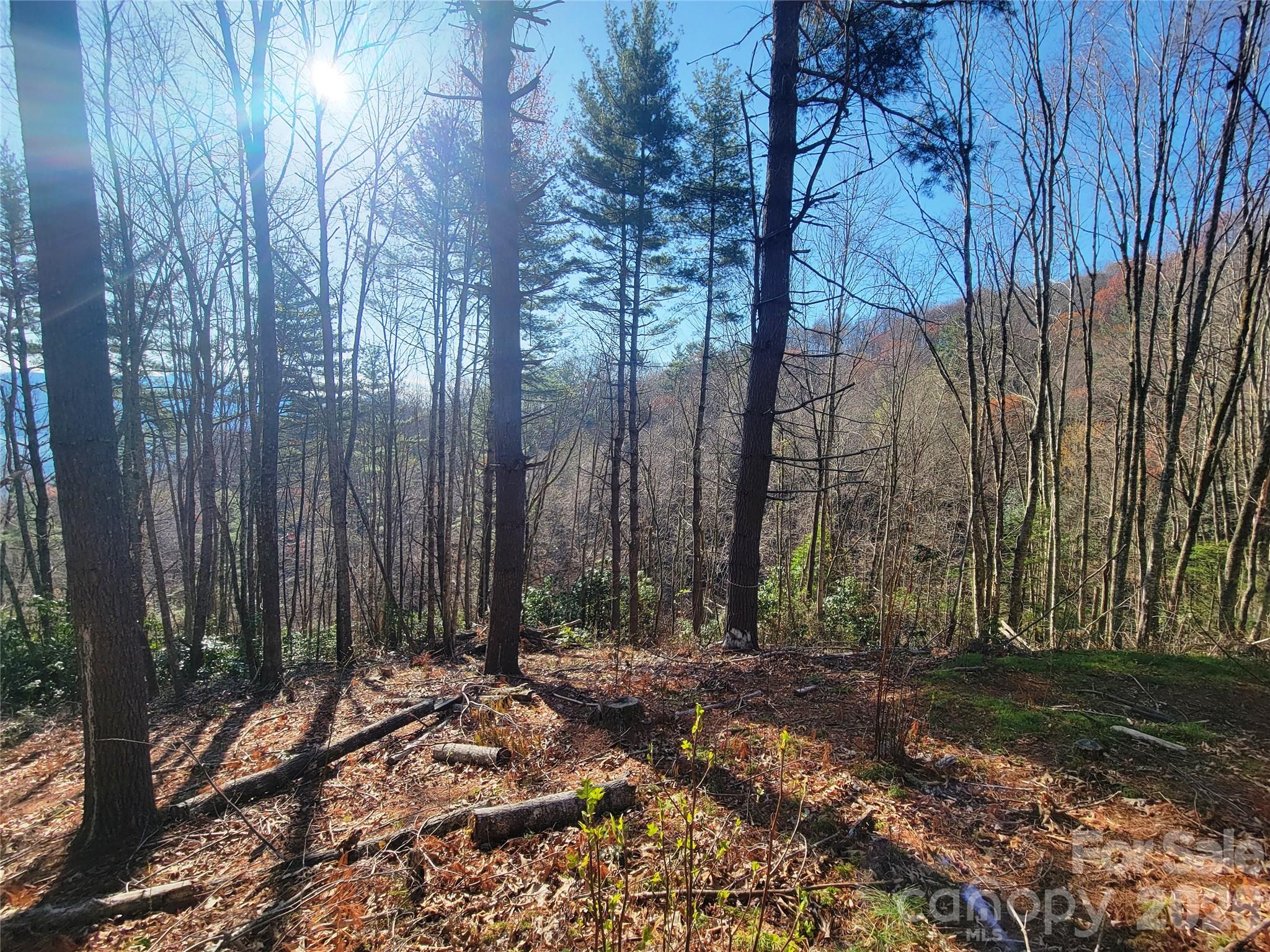 Preserve at Chestnut Flats - Land