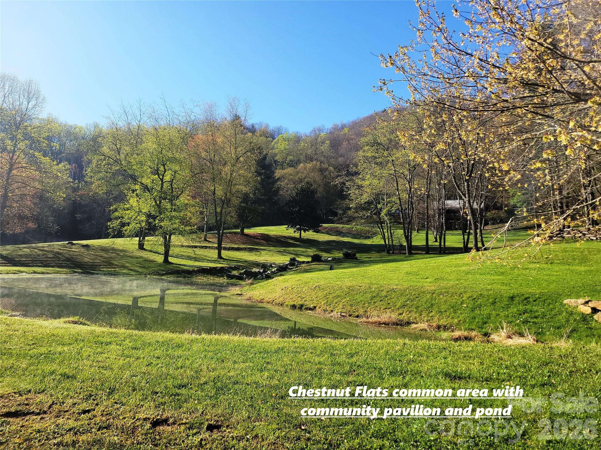 Preserve at Chestnut Flats - Land