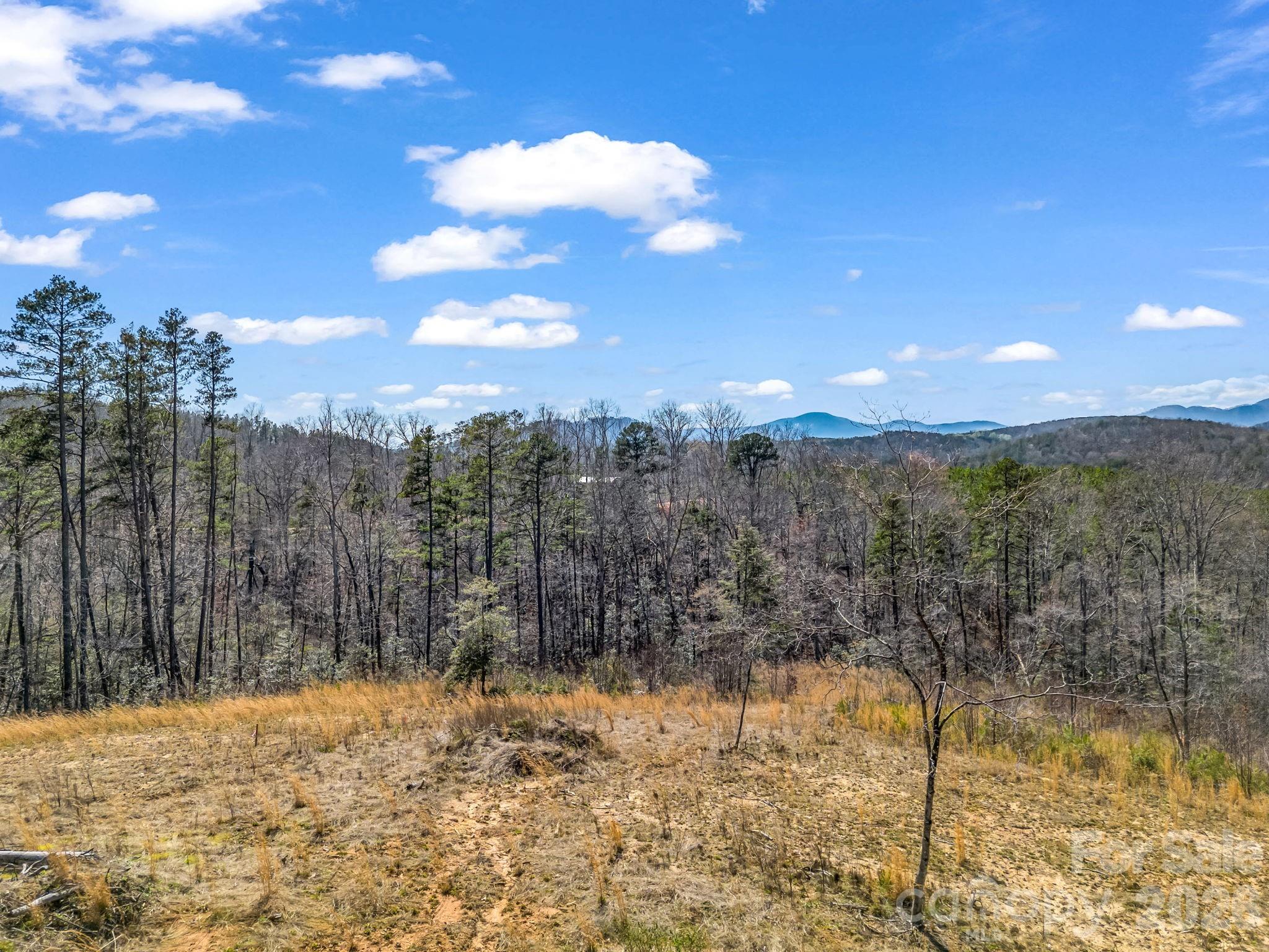 00 Shady Bark Lane 52