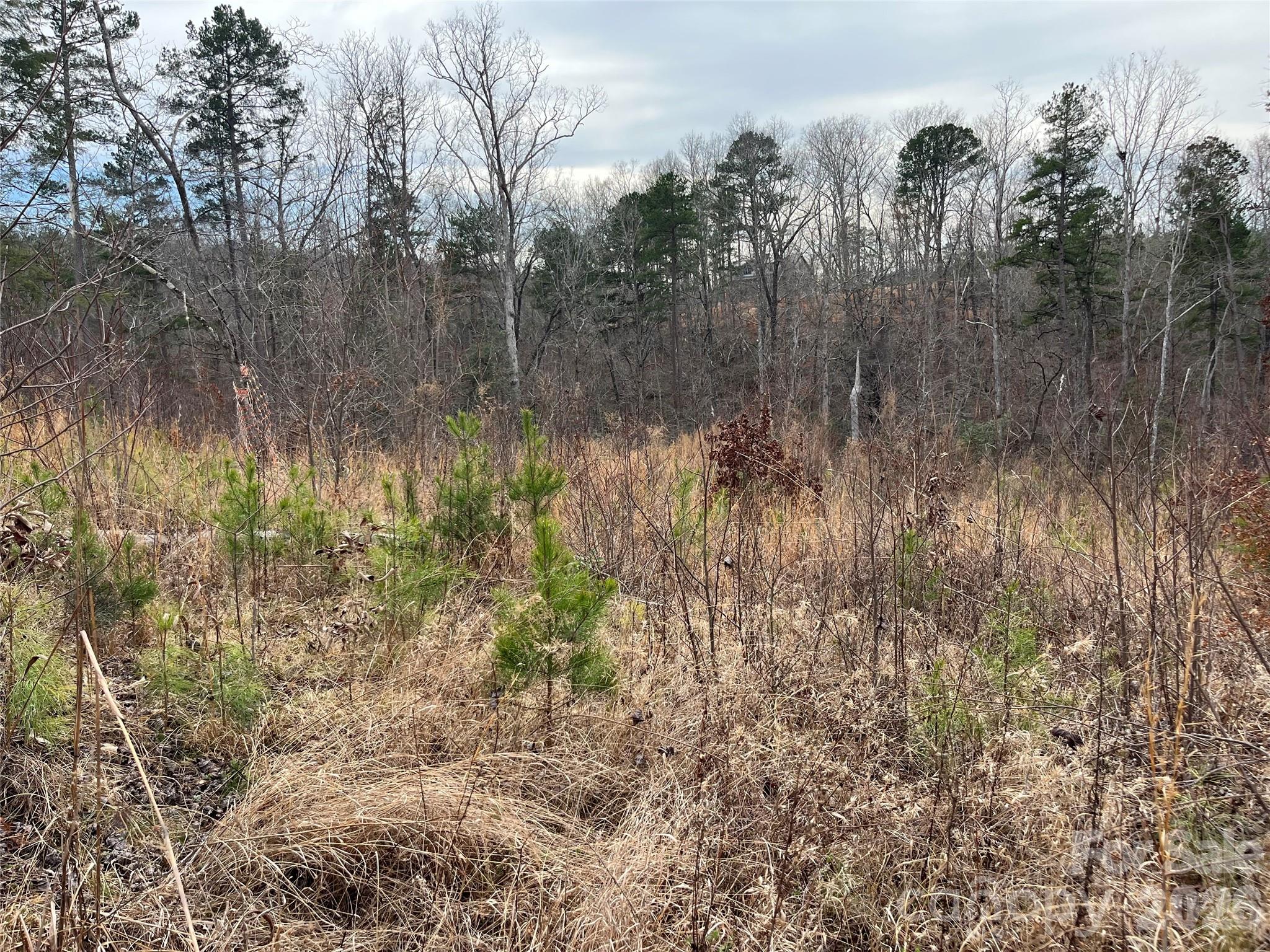 Ole Plantation - Land