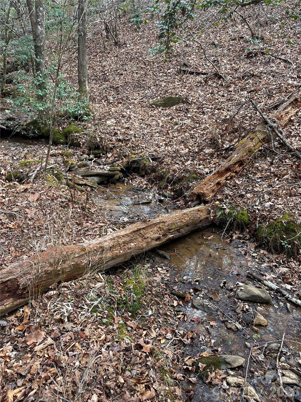 Ole Plantation - Land