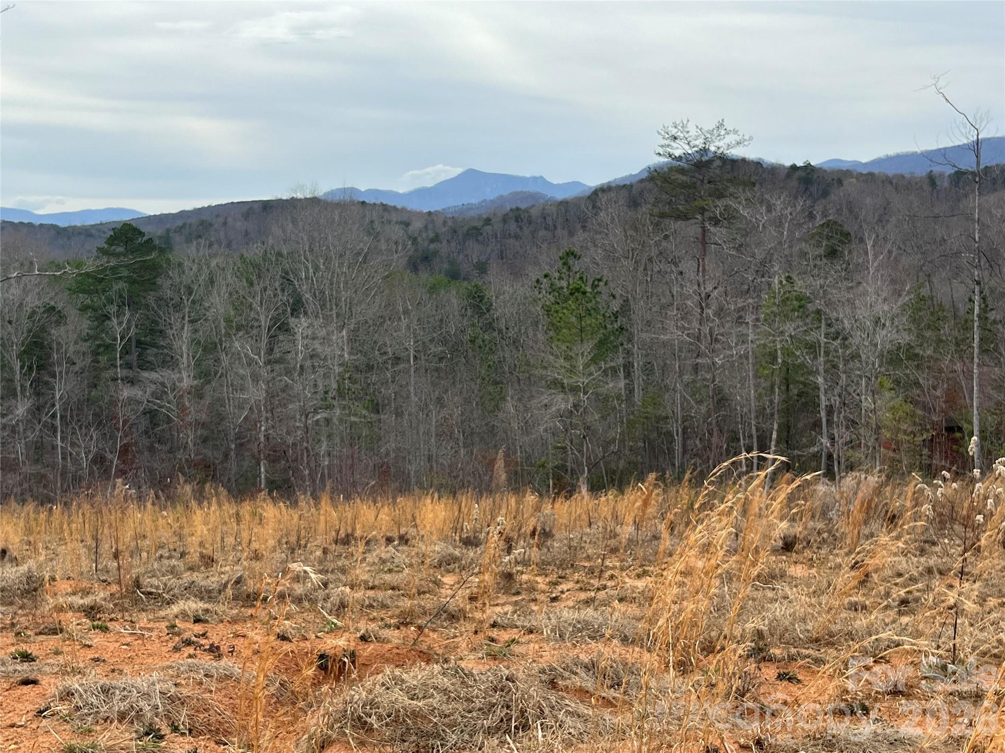 Ole Plantation - Land