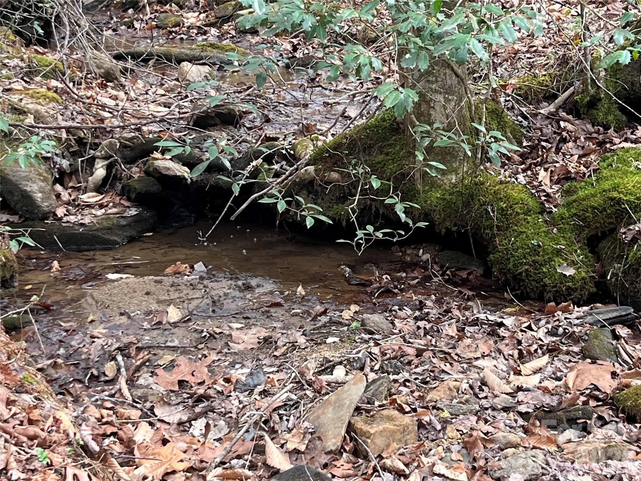 Ole Plantation - Land