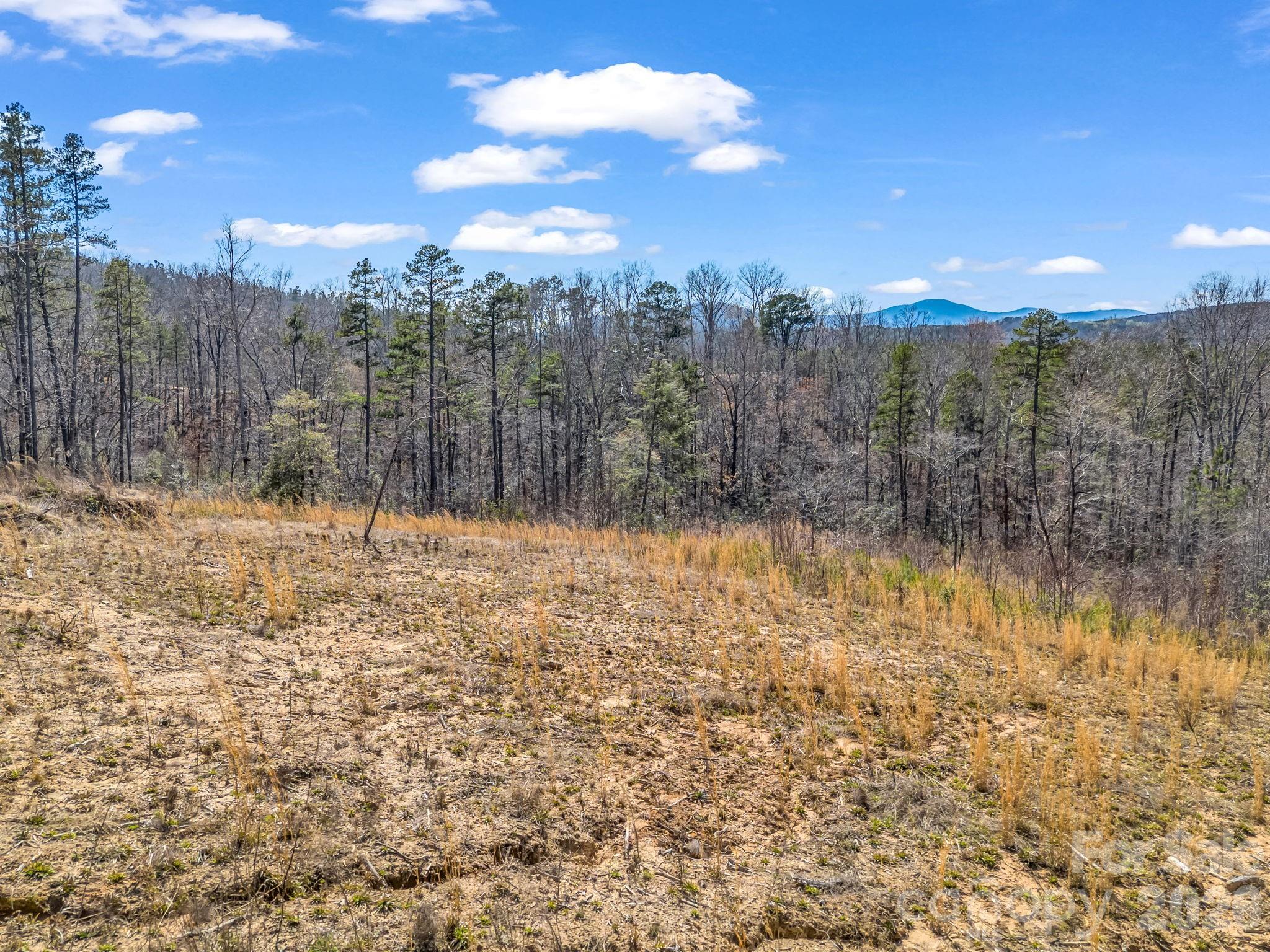 00 Shady Bark Lane 52