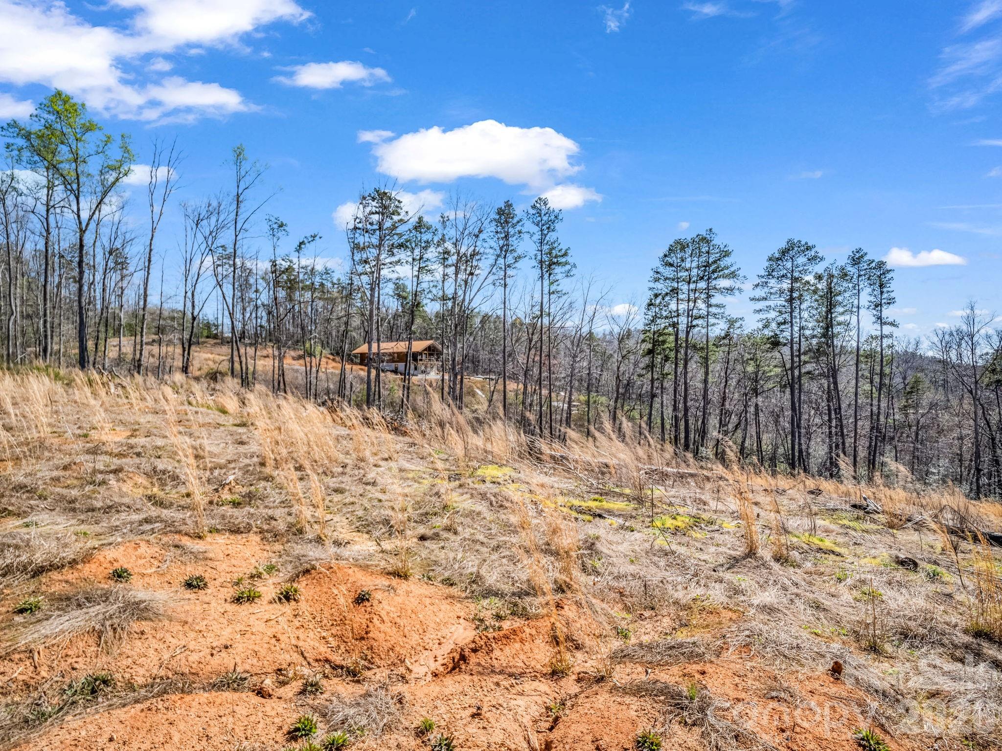 Ole Plantation - Land