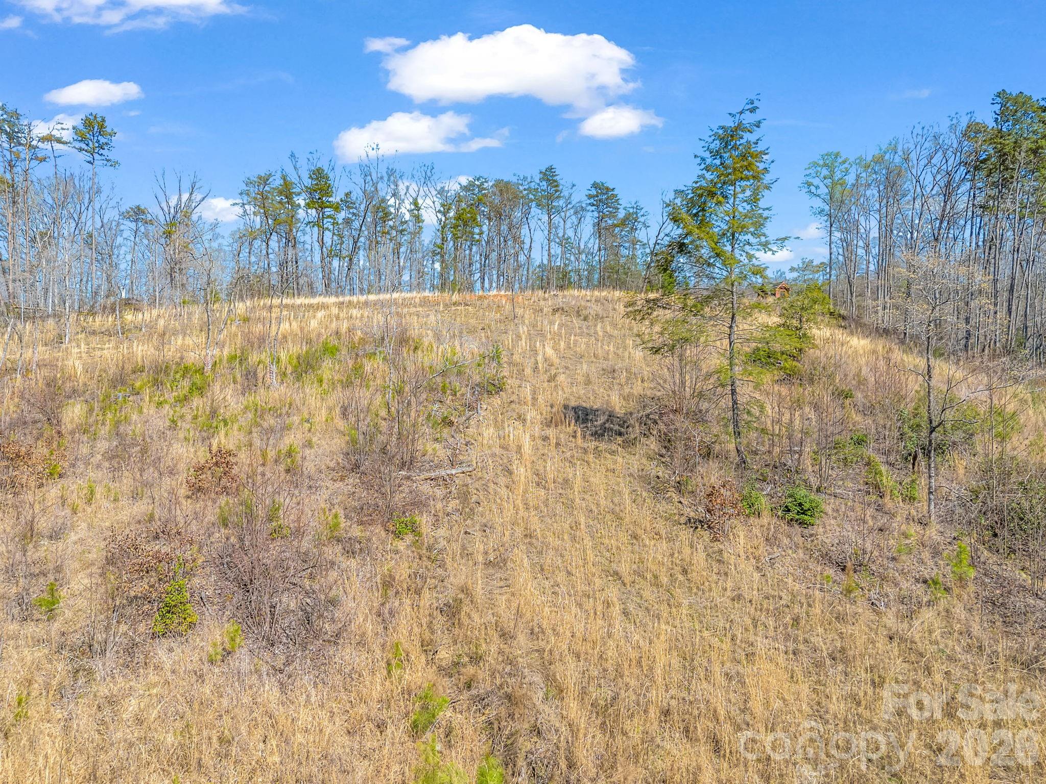 Ole Plantation - Land