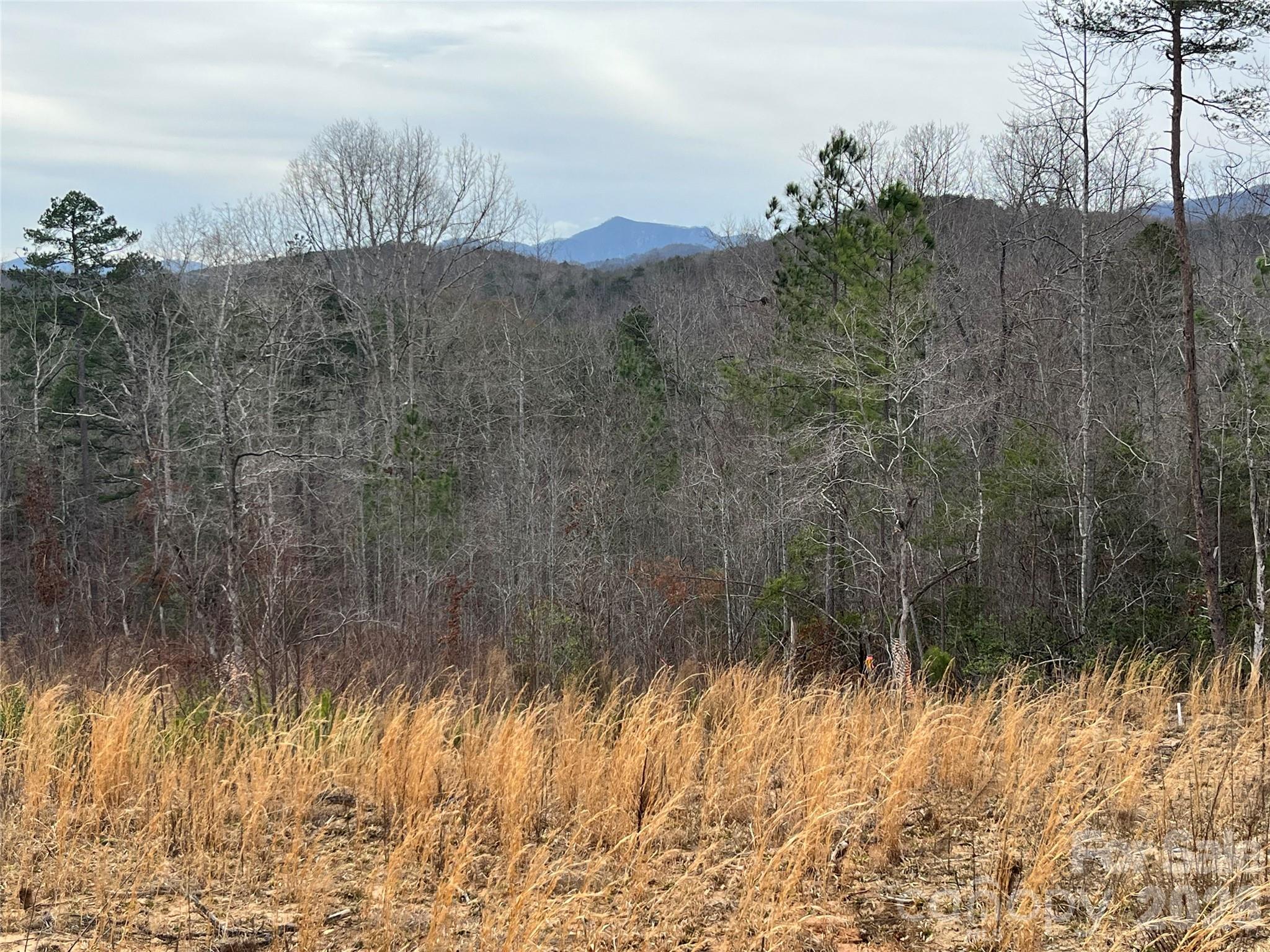 Ole Plantation - Land