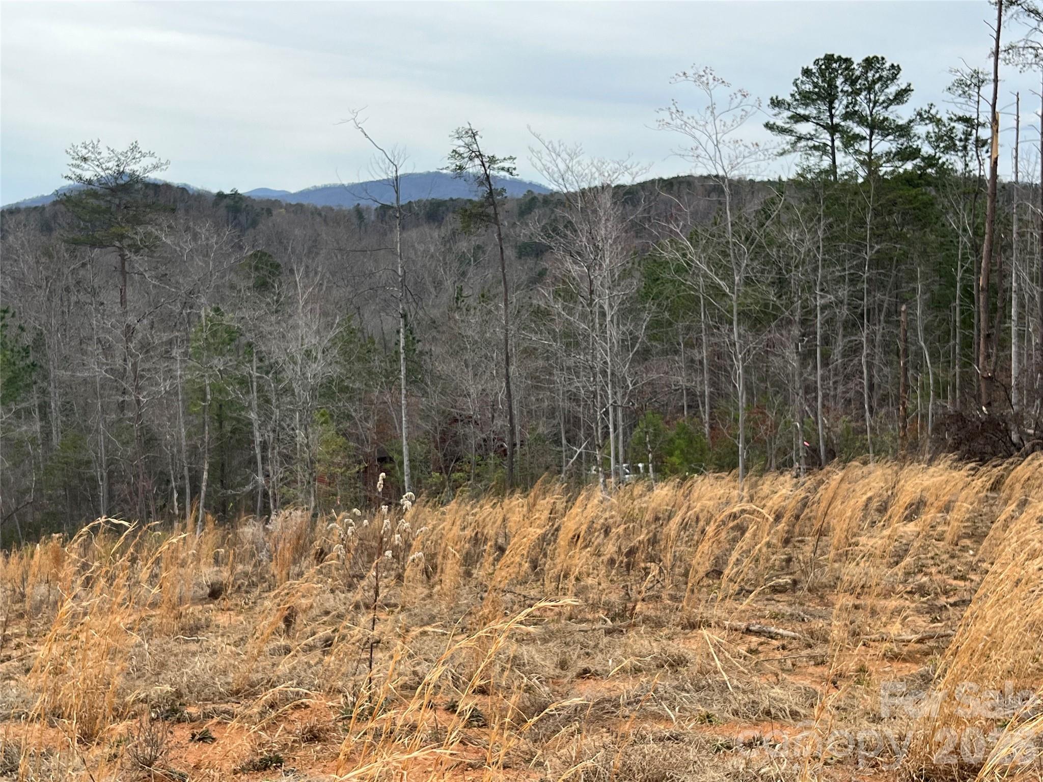 Ole Plantation - Land