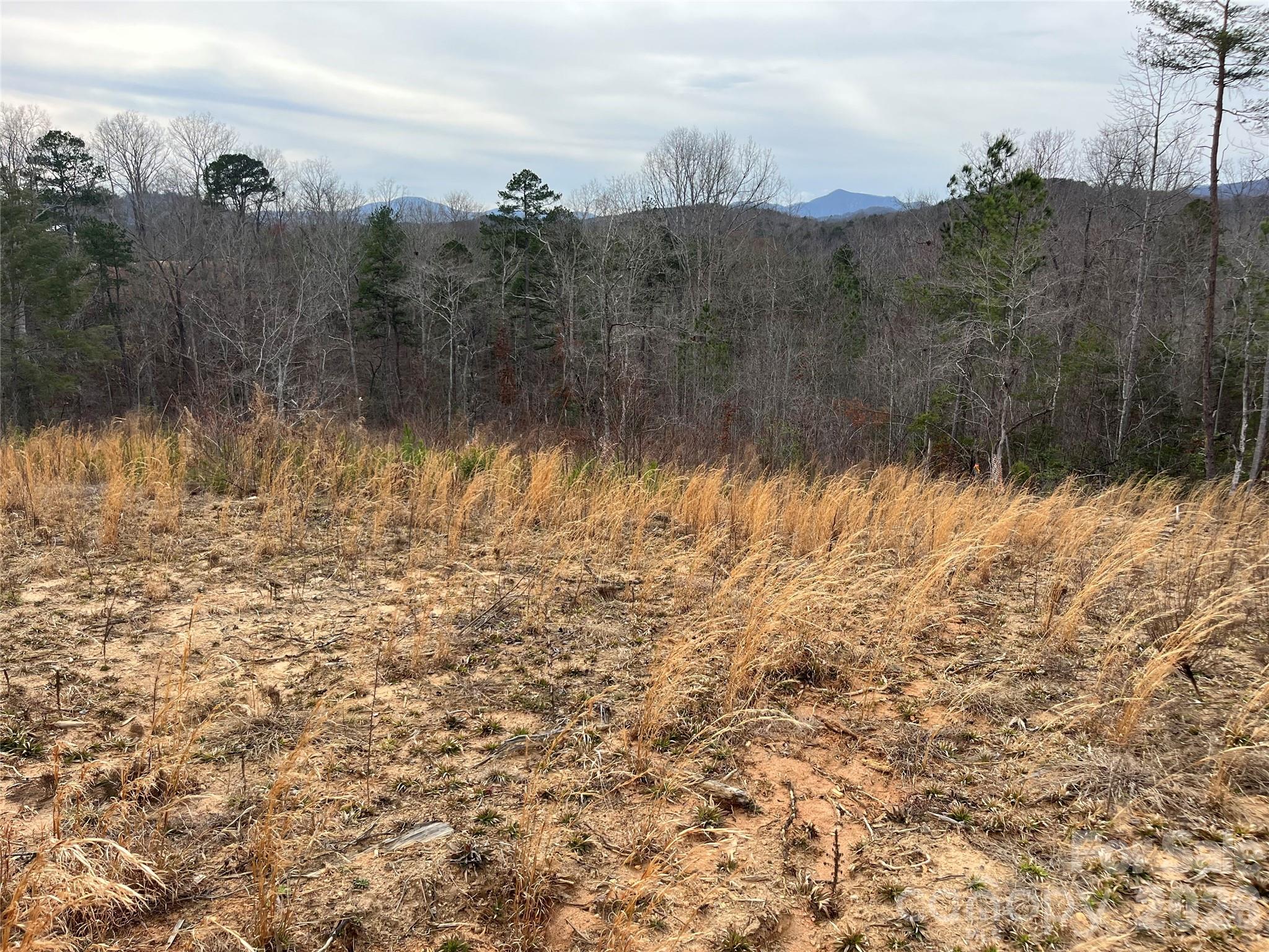 Ole Plantation - Land