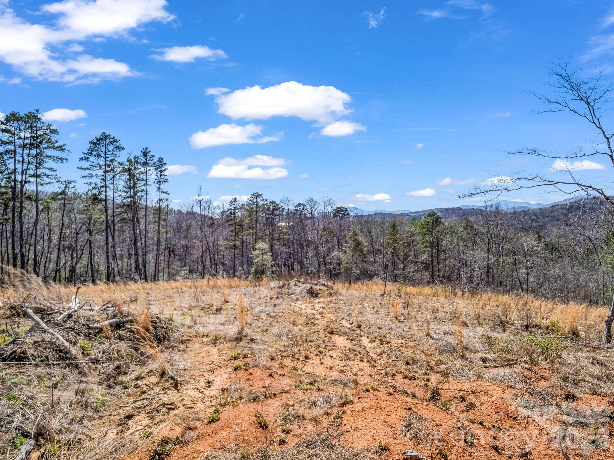 Ole Plantation - Land