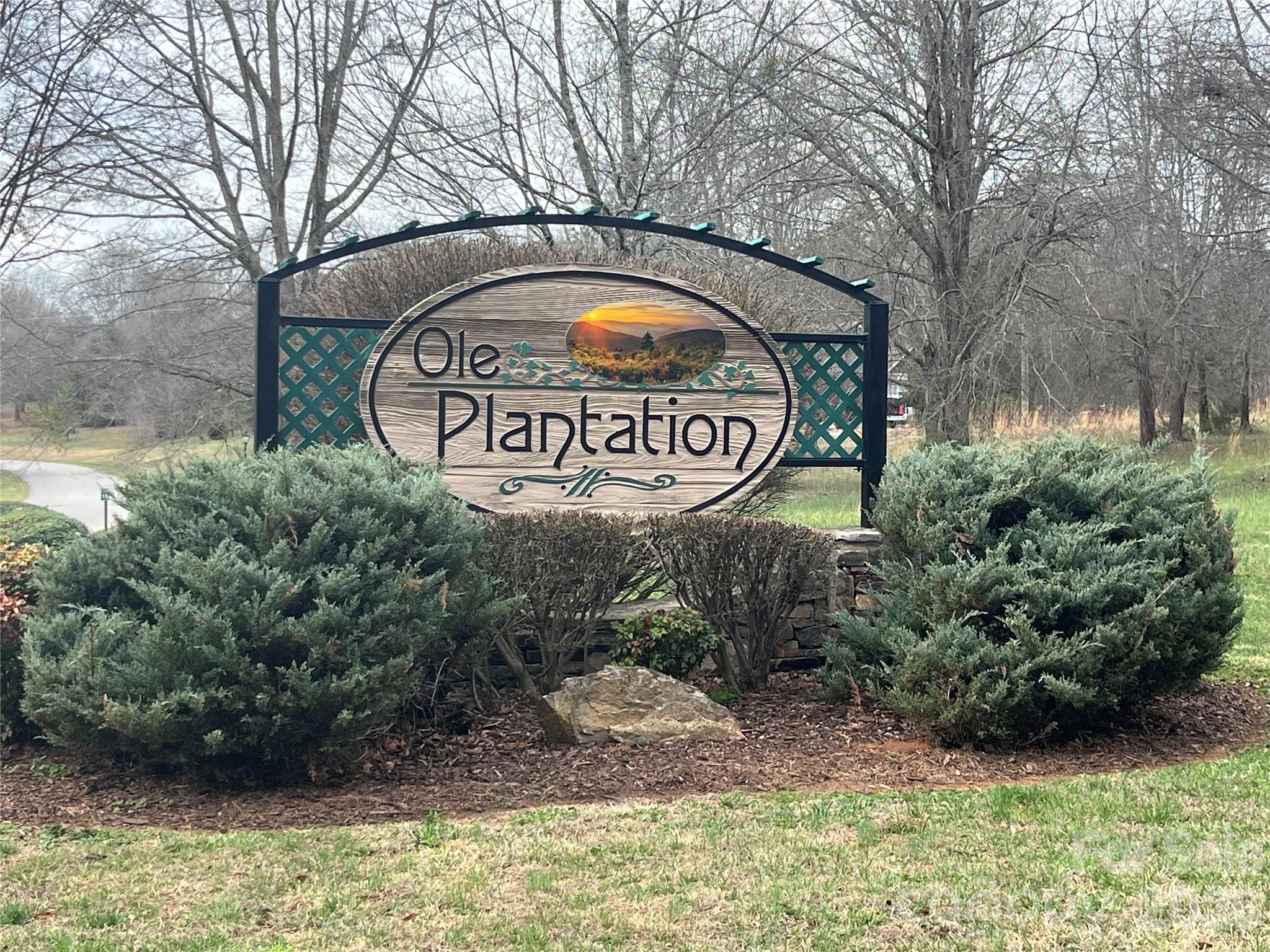 Ole Plantation - Land