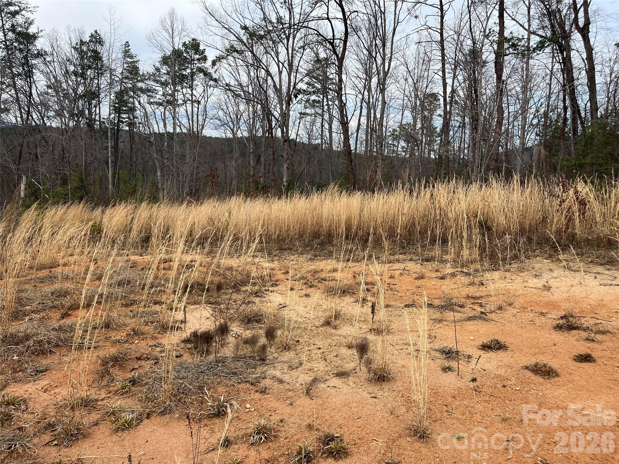 Ole Plantation - Land