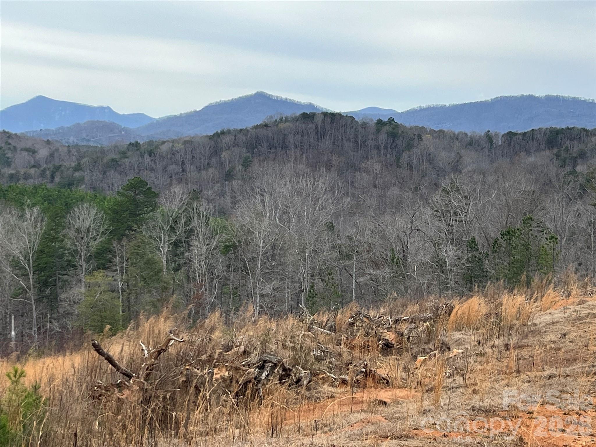 Ole Plantation - Land