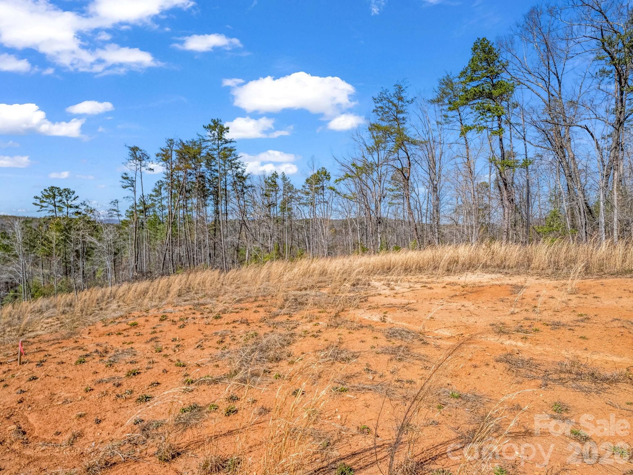 Ole Plantation - Land