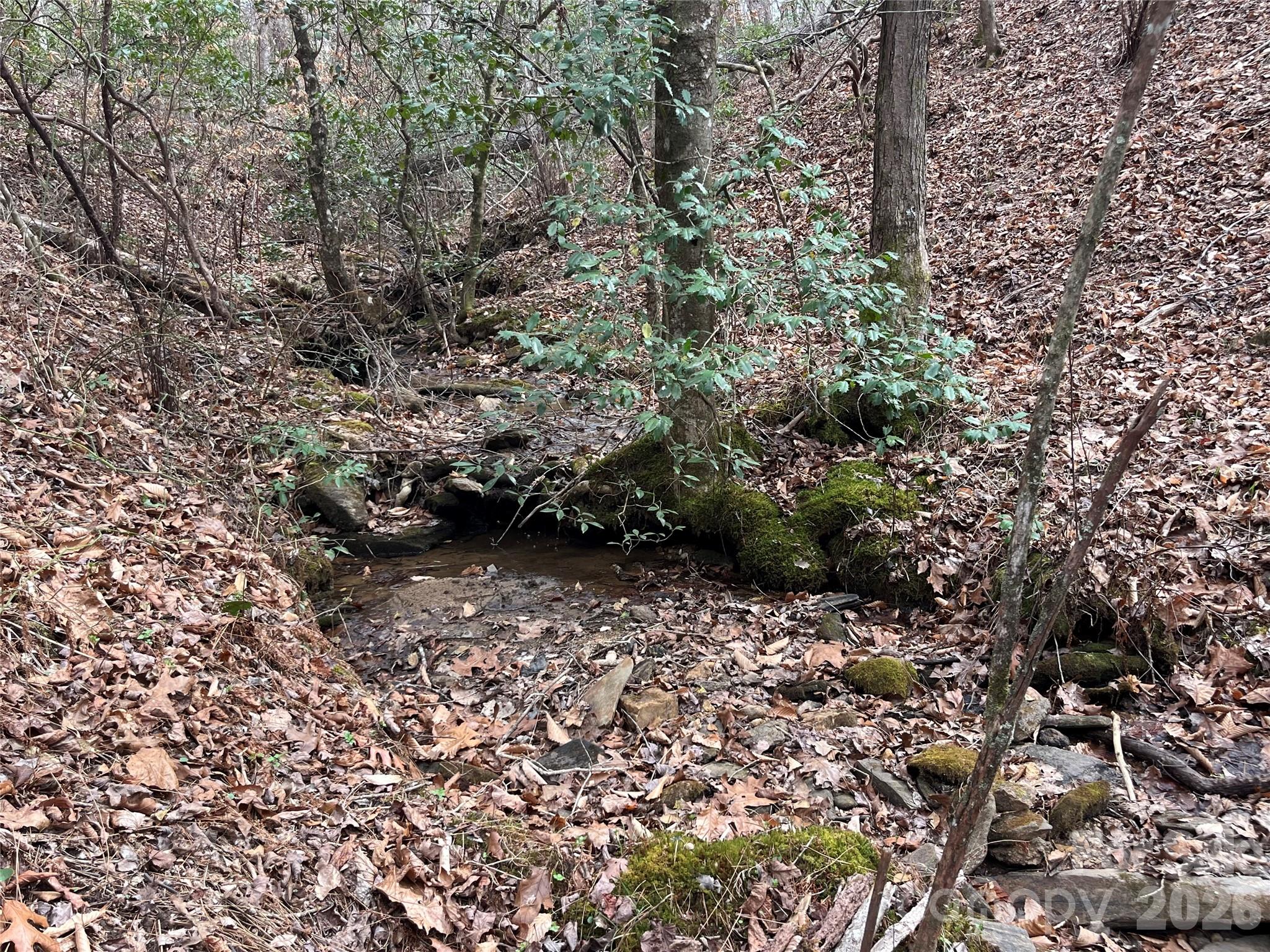 Ole Plantation - Land