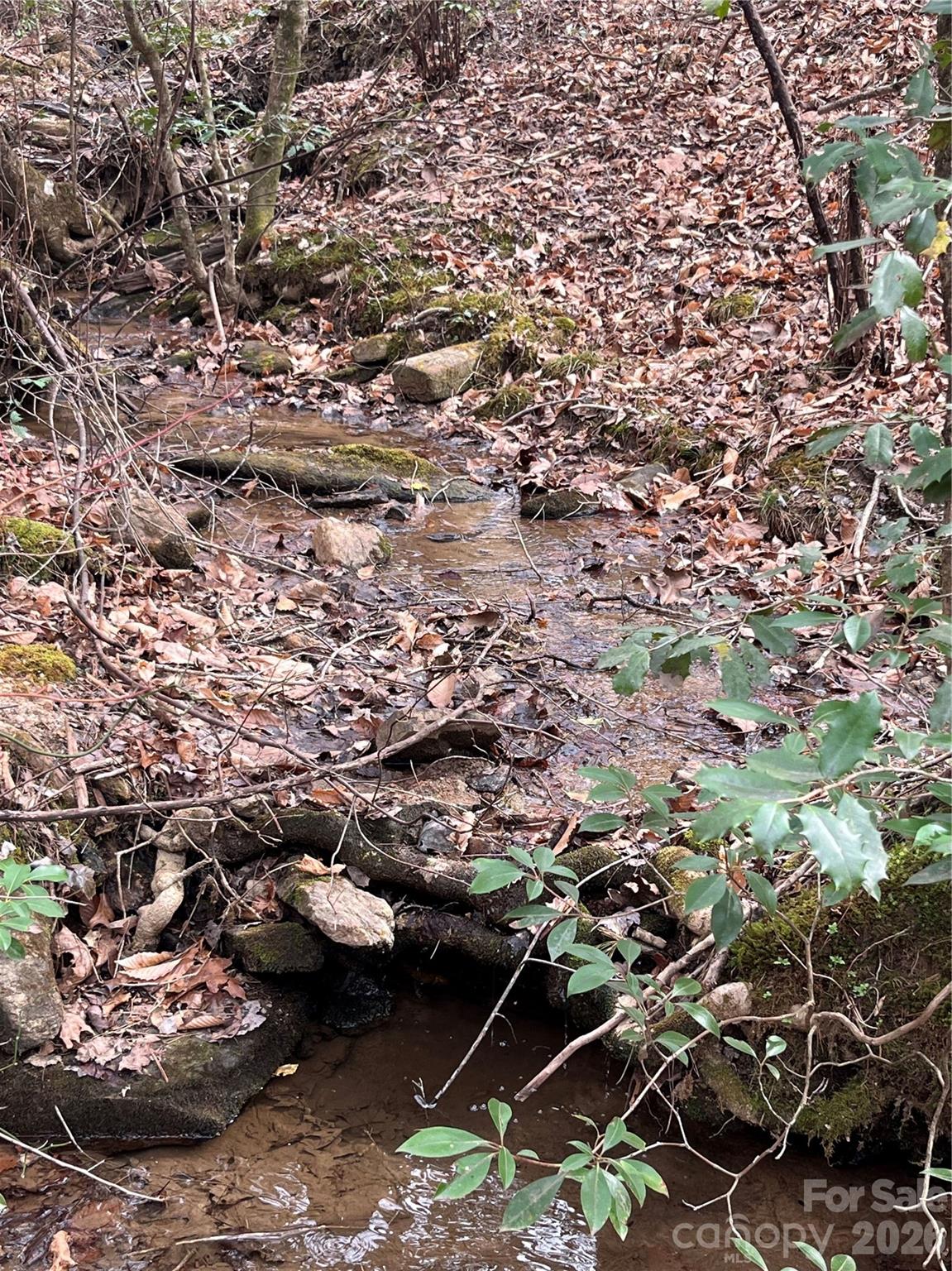 Ole Plantation - Land