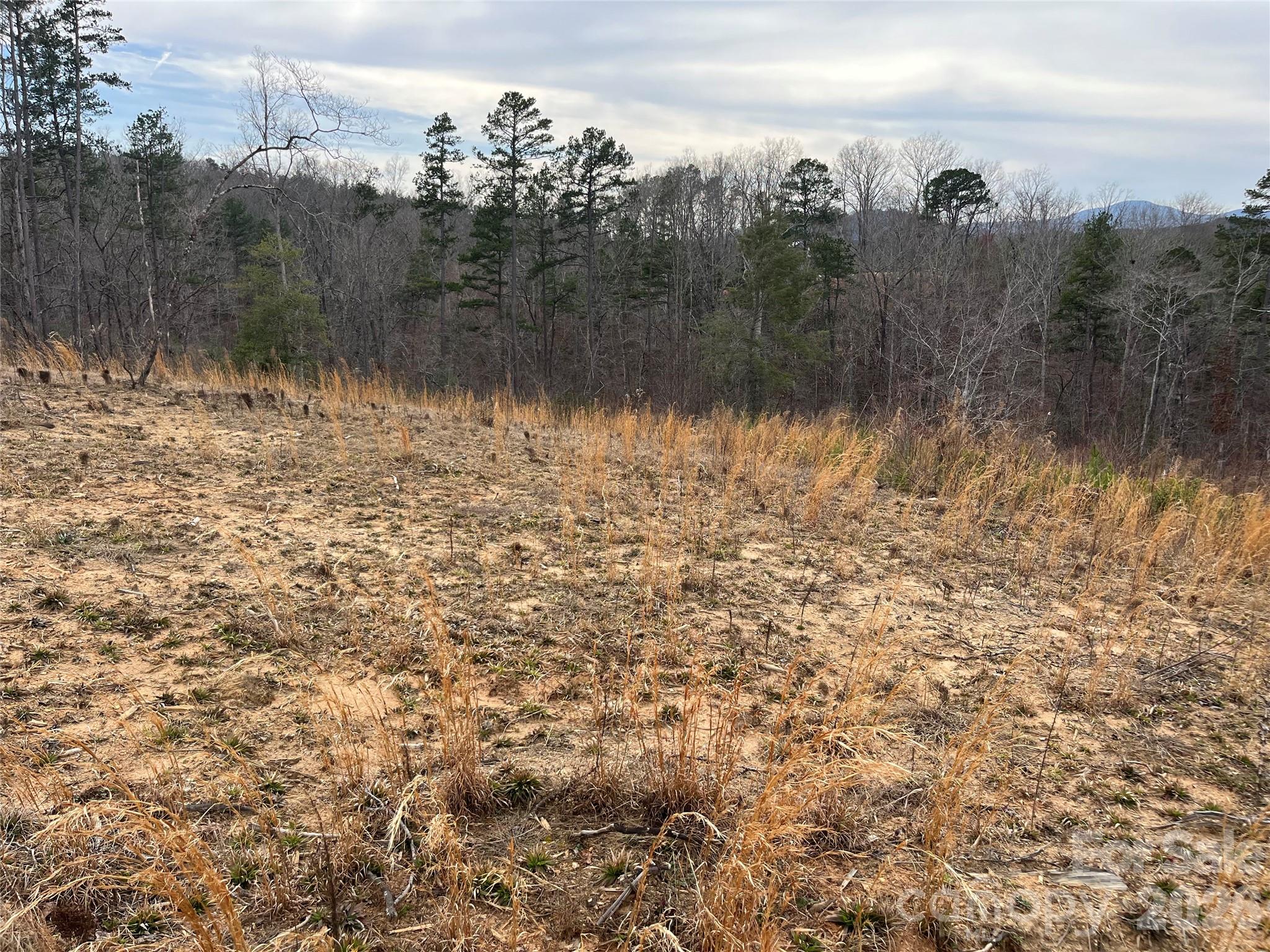 Ole Plantation - Land