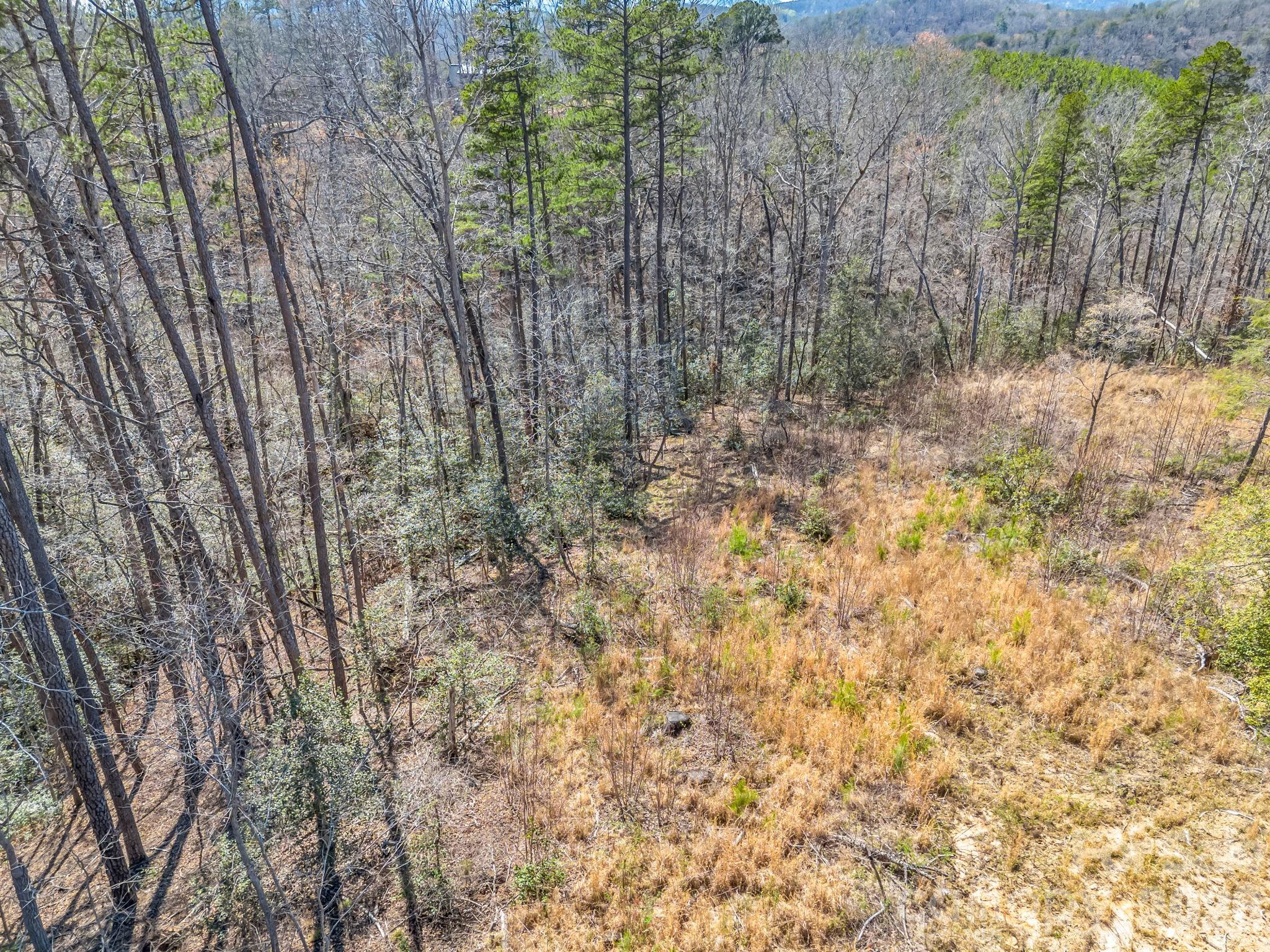 Ole Plantation - Land