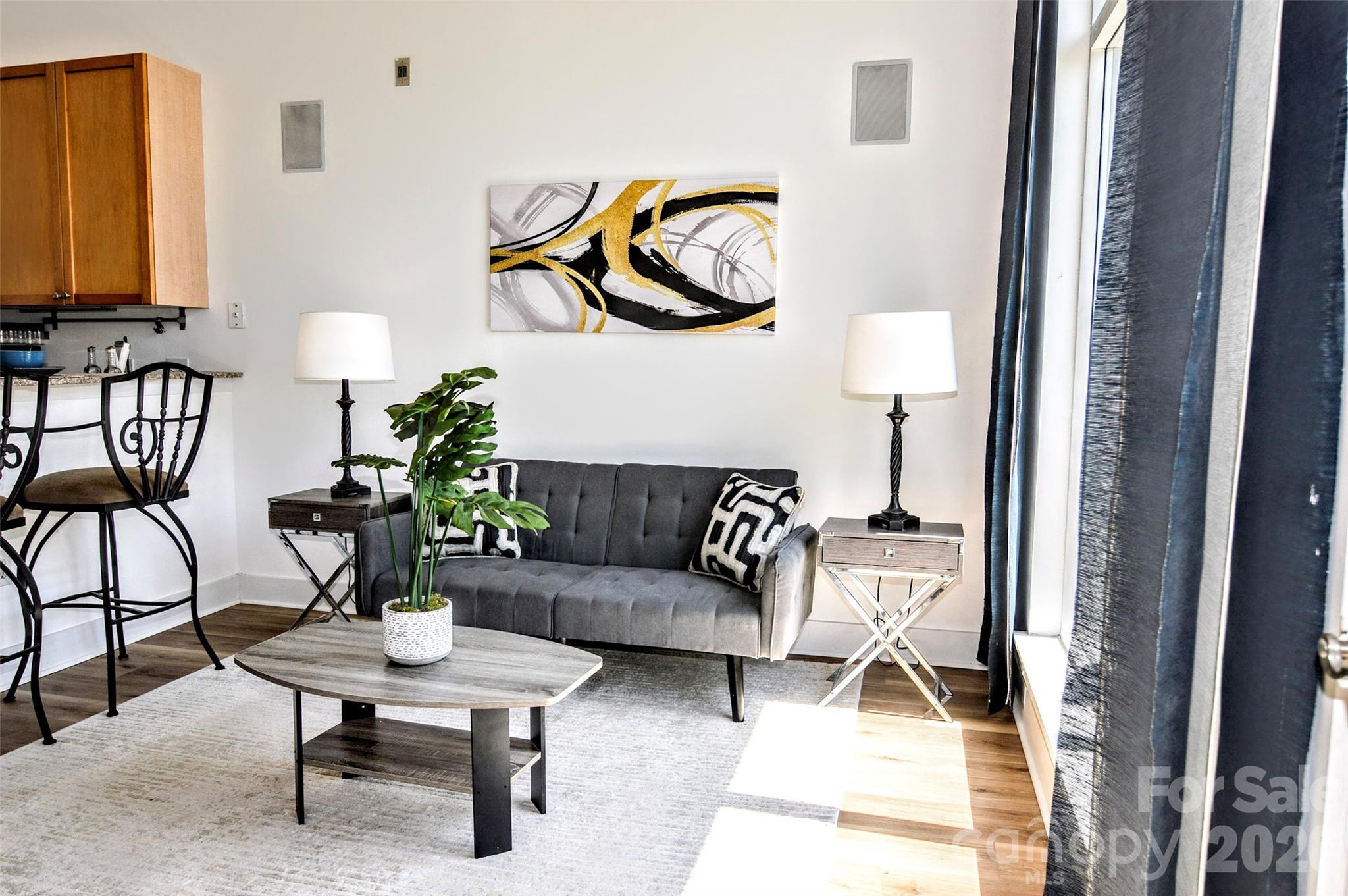 Park Avenue Condominiums - Residential