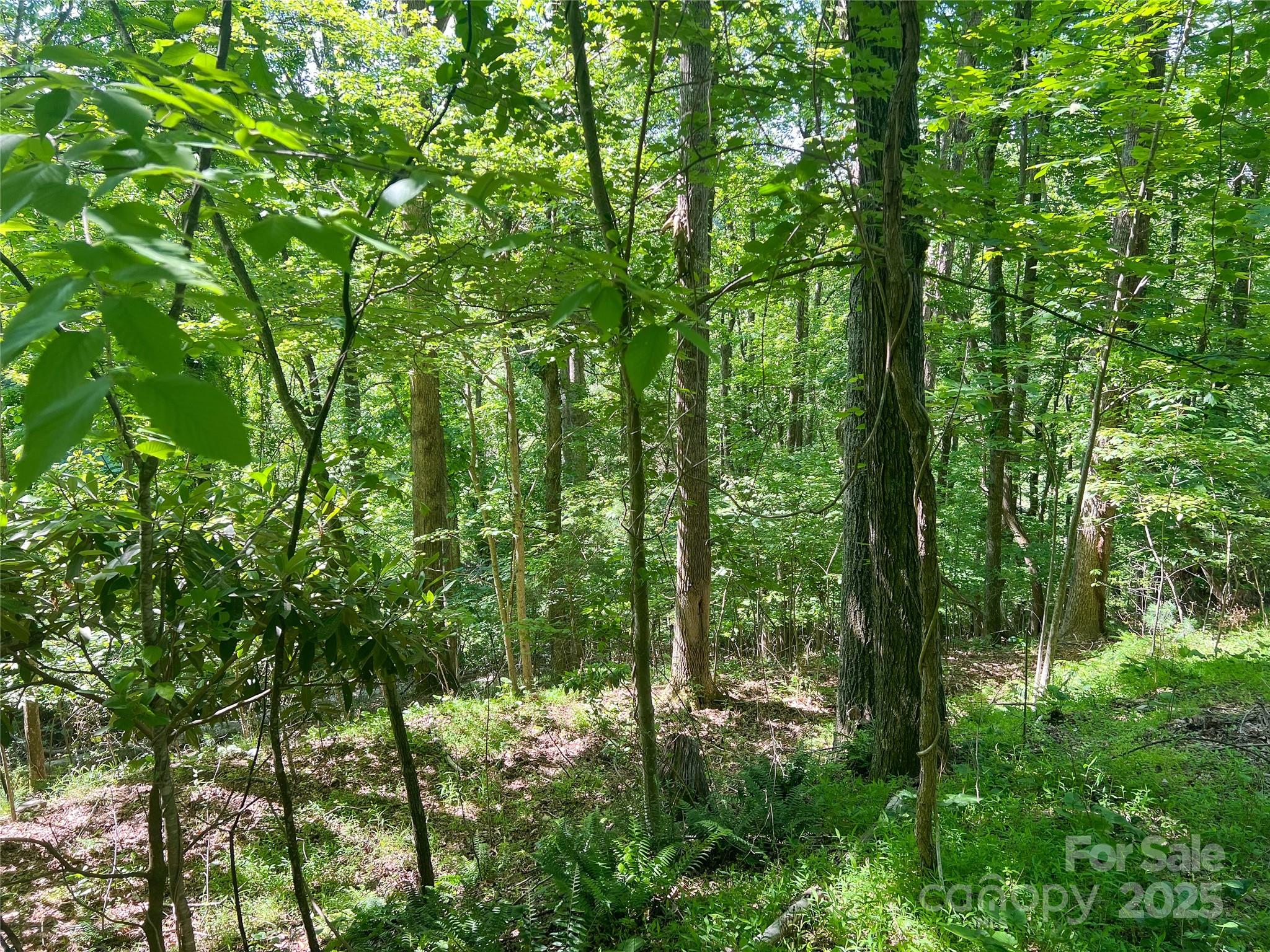101 Chattooga Run 181
