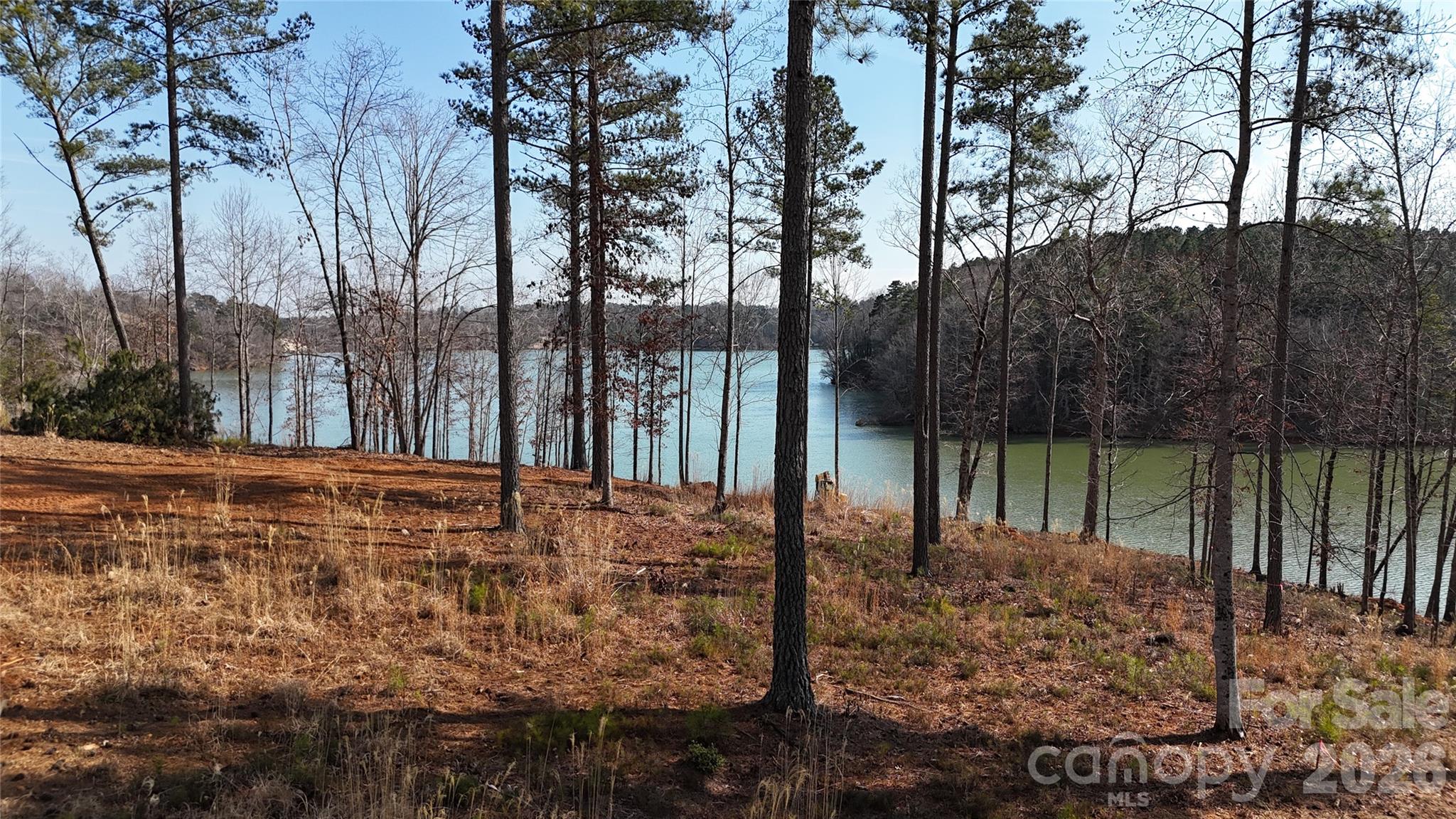 2372 Princeton Mountain None 70