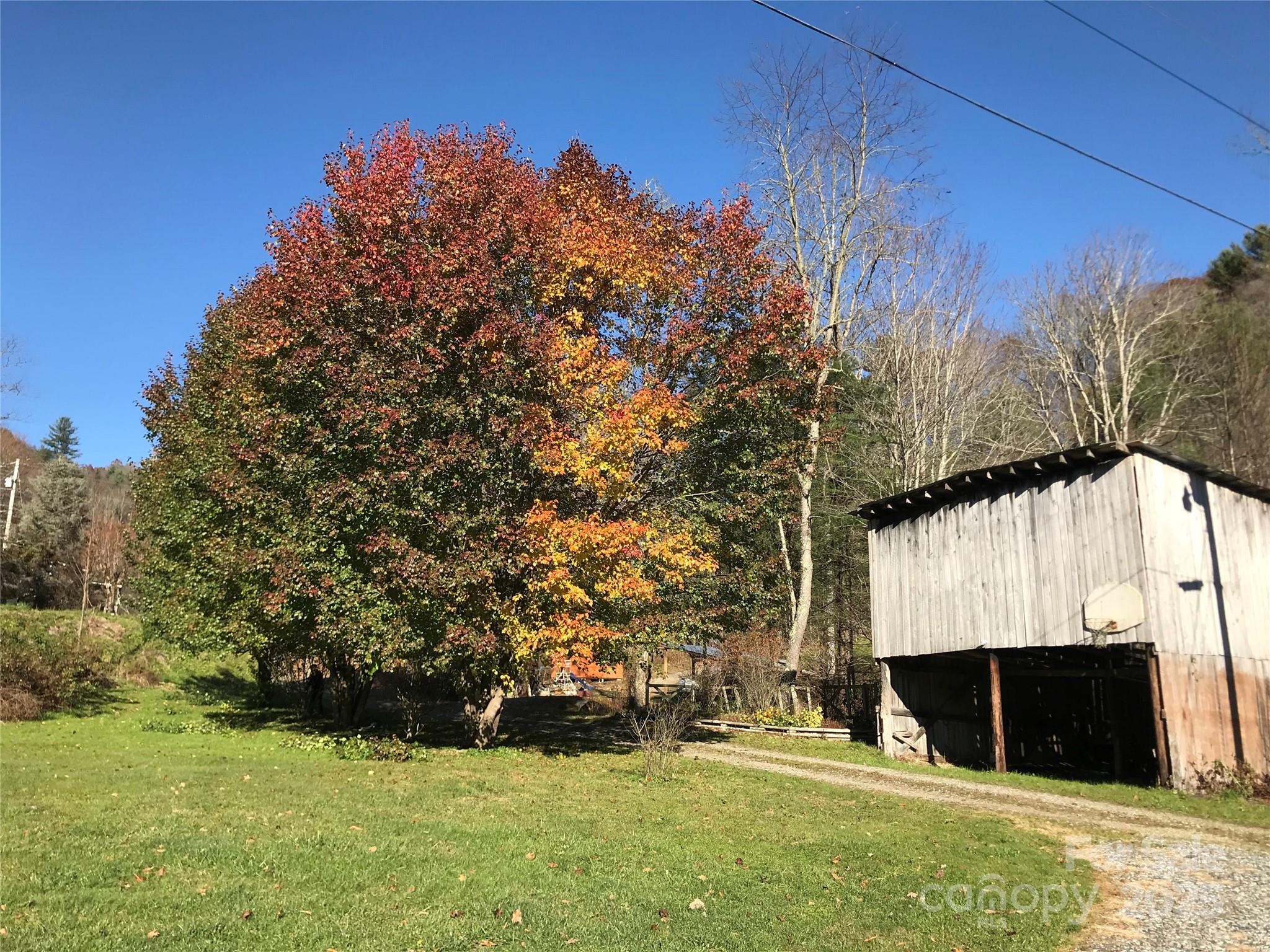 1864 Culvin Creek Road