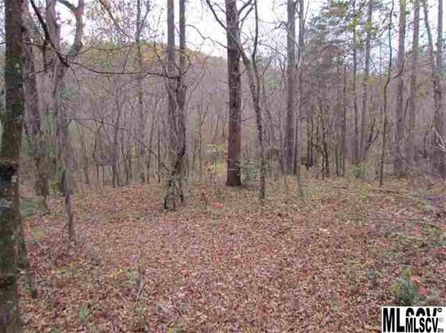 Here is a 20+ acre tract that will make a wonderful mountain home site or a weekend getaway spot. It borders All Healing Springs Road, so access is easy. The land drops away from the highway to a small stream that runs through the property. Past the stream, the land gently climbs up the hill to its highest point which lends itself to many choices for a home site. The property is private and secluded yet easy to access. There are numerous large, mature hardwoods on this tract which would be the natural habitat for deer, turkey and other wildlife. With 20 acres, you would have plenty of room to clean some land and pasture a portion of the property for horses or cattle or other livestock with the stream as their constant water source. This property lends itself to anything from a secluded weekend getaway to a small farm with livestock, garden, etc. Located in one of Alexander Co.'s most sought after communities, this is a place that anyone could be proud to call home.
