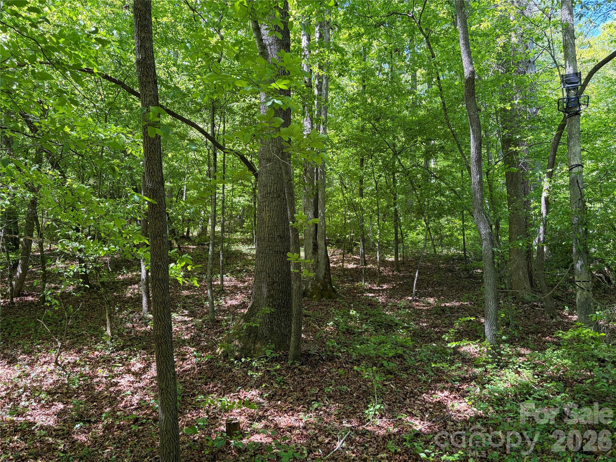 8186 Old Nc Highway 60 None
