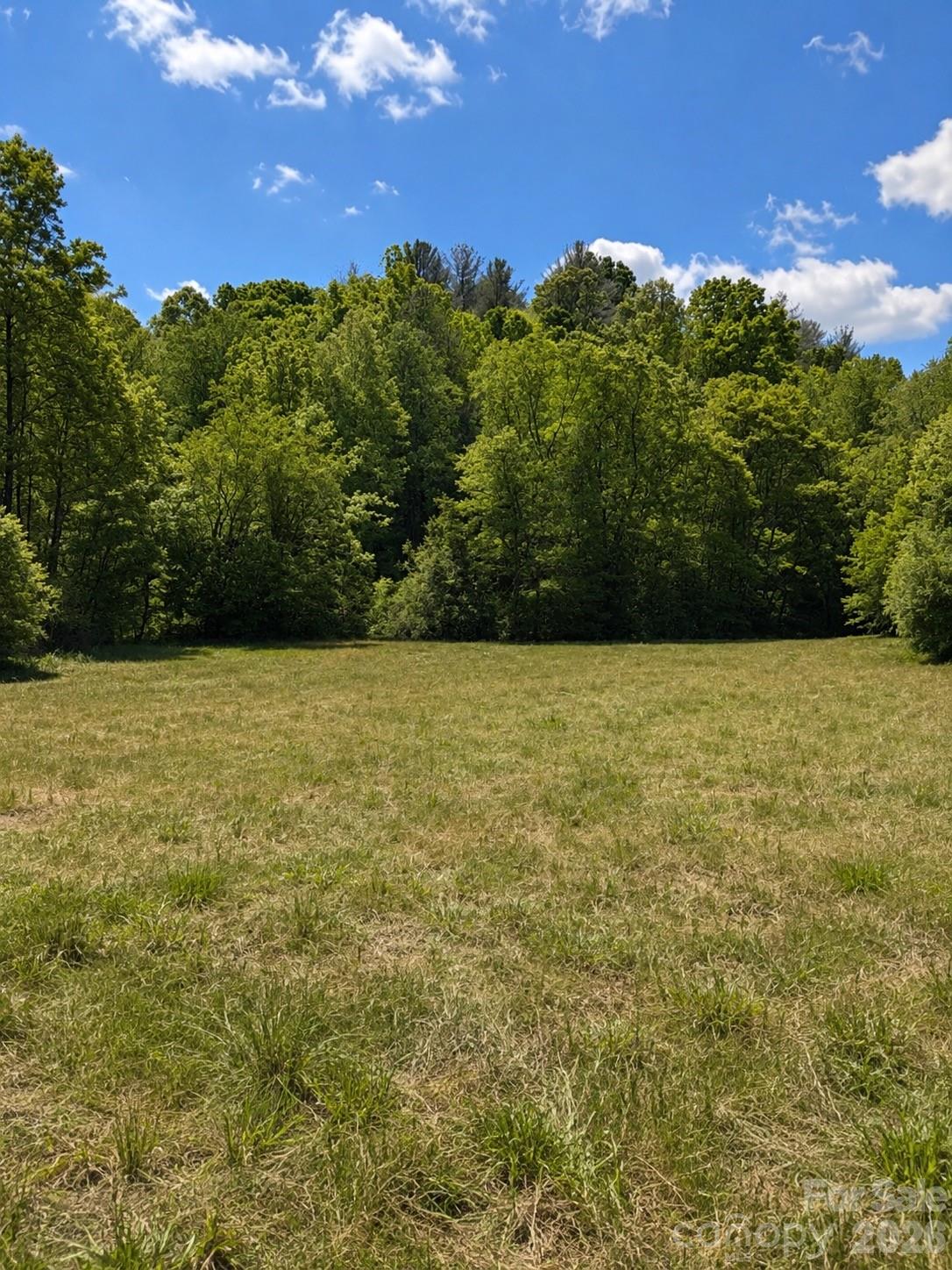 8186 Old Nc Highway 60 None