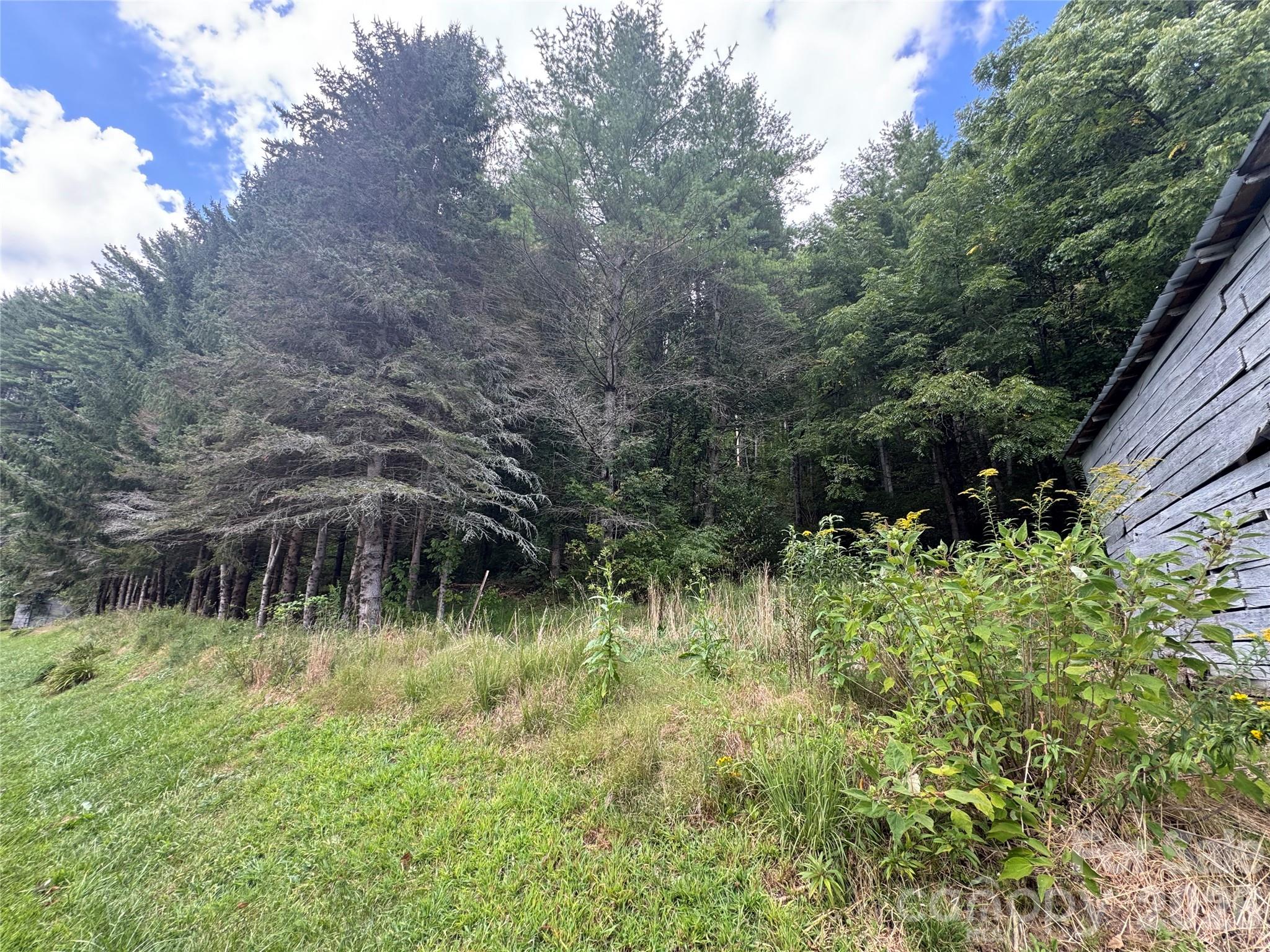 000 Puncheon Fork Road