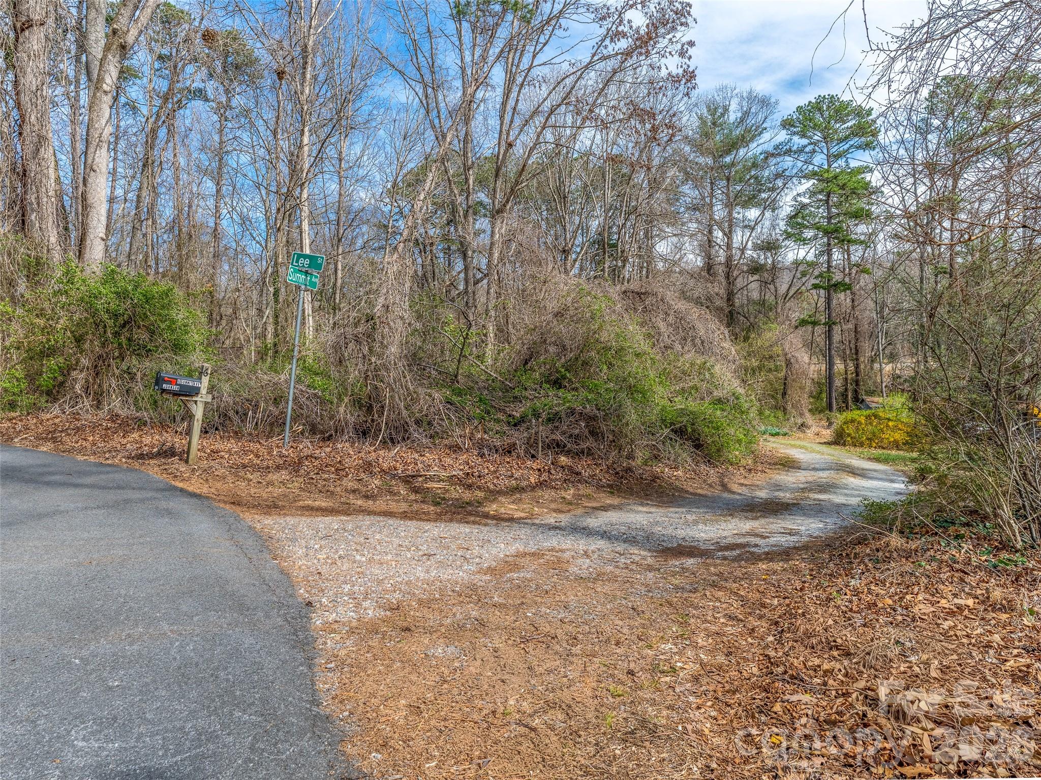 Skyland Springs - Land