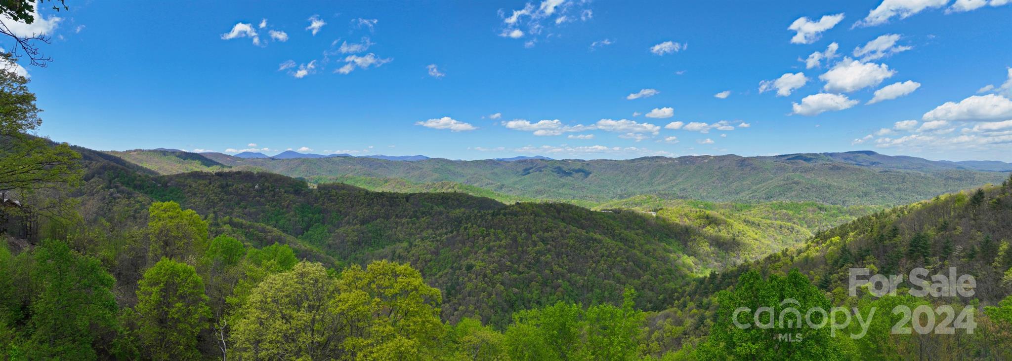 Blue Ridge Mountain Club - Residential