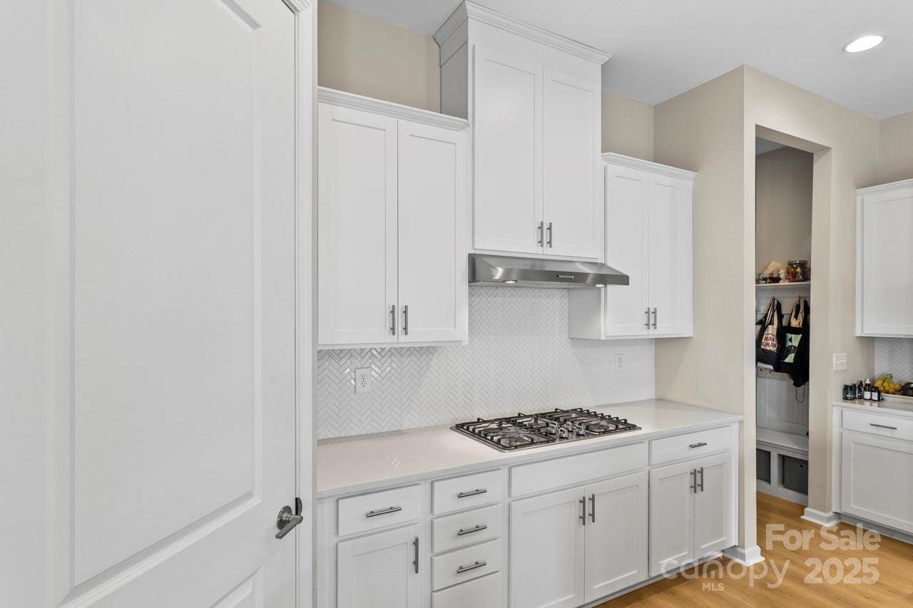 Stafford at Langtree - Residential