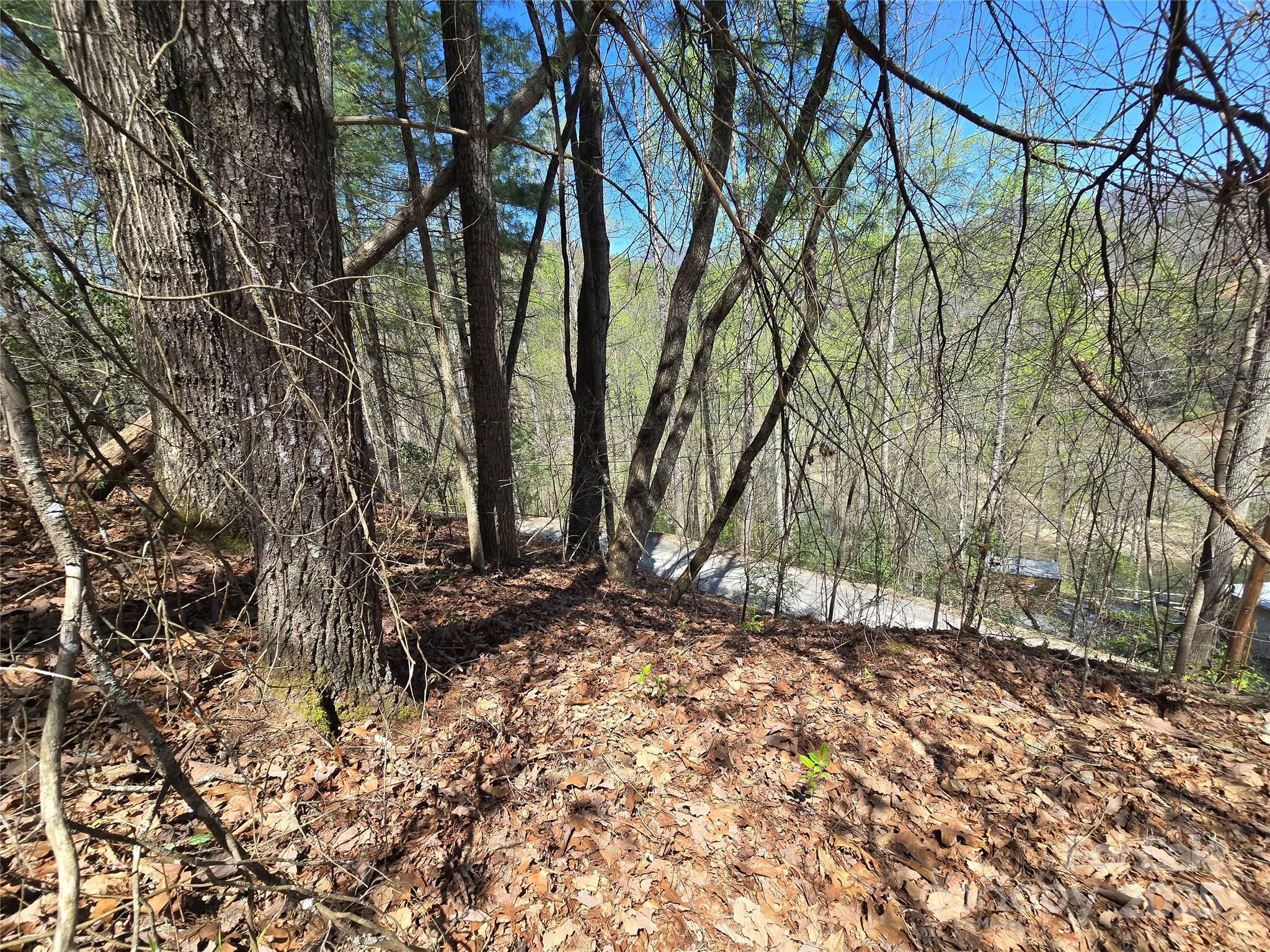 Ocona Lake Estates - Land