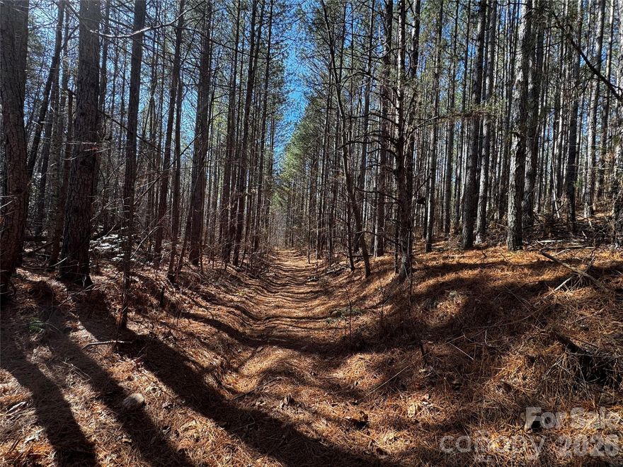 Discover a rare opportunity to own 170 acres of pristine land in Rutherford County, where rolling foothills, natural beauty, and endless potential come together. This expansive tract features two flowing streams, over a mile of established two-track trails, and predominantly level terrain, making it exceptionally usable for a wide range of visions.

Multiple ideal homesites are scattered throughout the property, offering privacy, views, and flexibility—perfect for a private estate, family compound, recreational retreat, or future development. Located in the foothills, the land offers a peaceful setting with the feel of seclusion while remaining accessible.

Whether you’re dreaming of building, exploring, or simply holding land as a legacy investment, this property delivers—where the deer roam and the possibilities truly feel endless.

A remarkable canvas of land, ready for your vision.