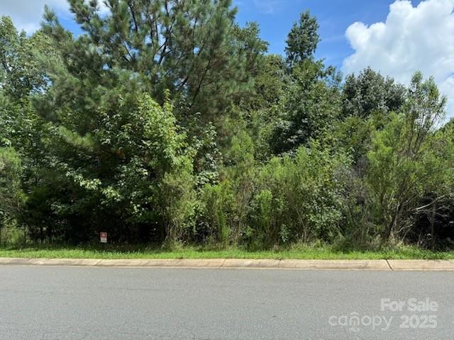 2021 Beauhaven Lane 19