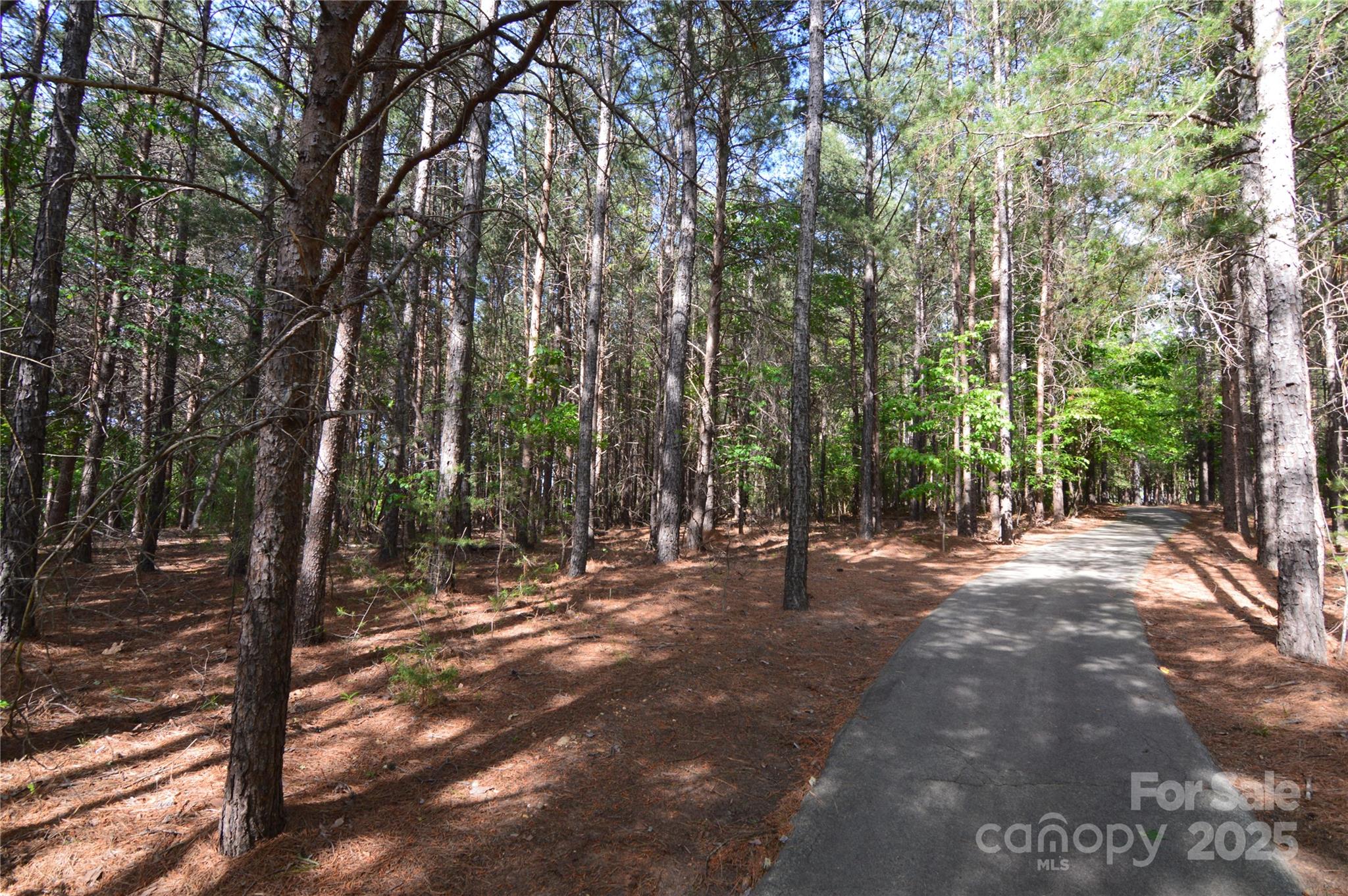 Reflection Pointe - Land