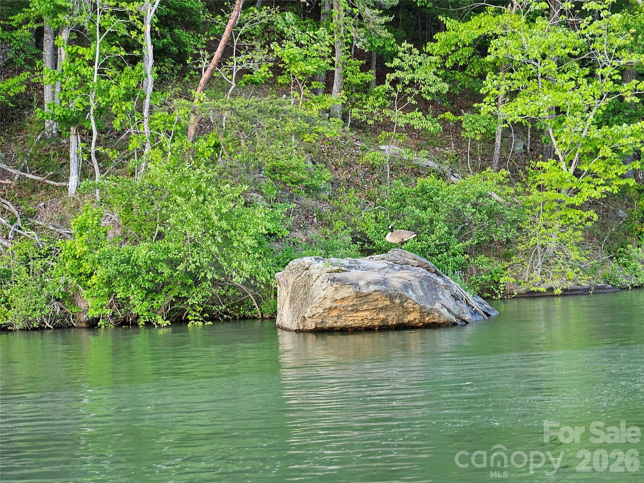 00 Hawk Ridge Drive 8