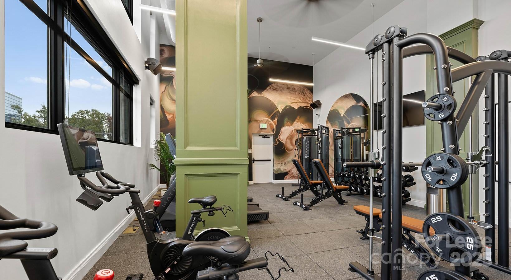 Charlotte, North Carolina 28203, United States, 3 Bedrooms Bedrooms, ,3 BathroomsBathrooms,Residential,Active,44319