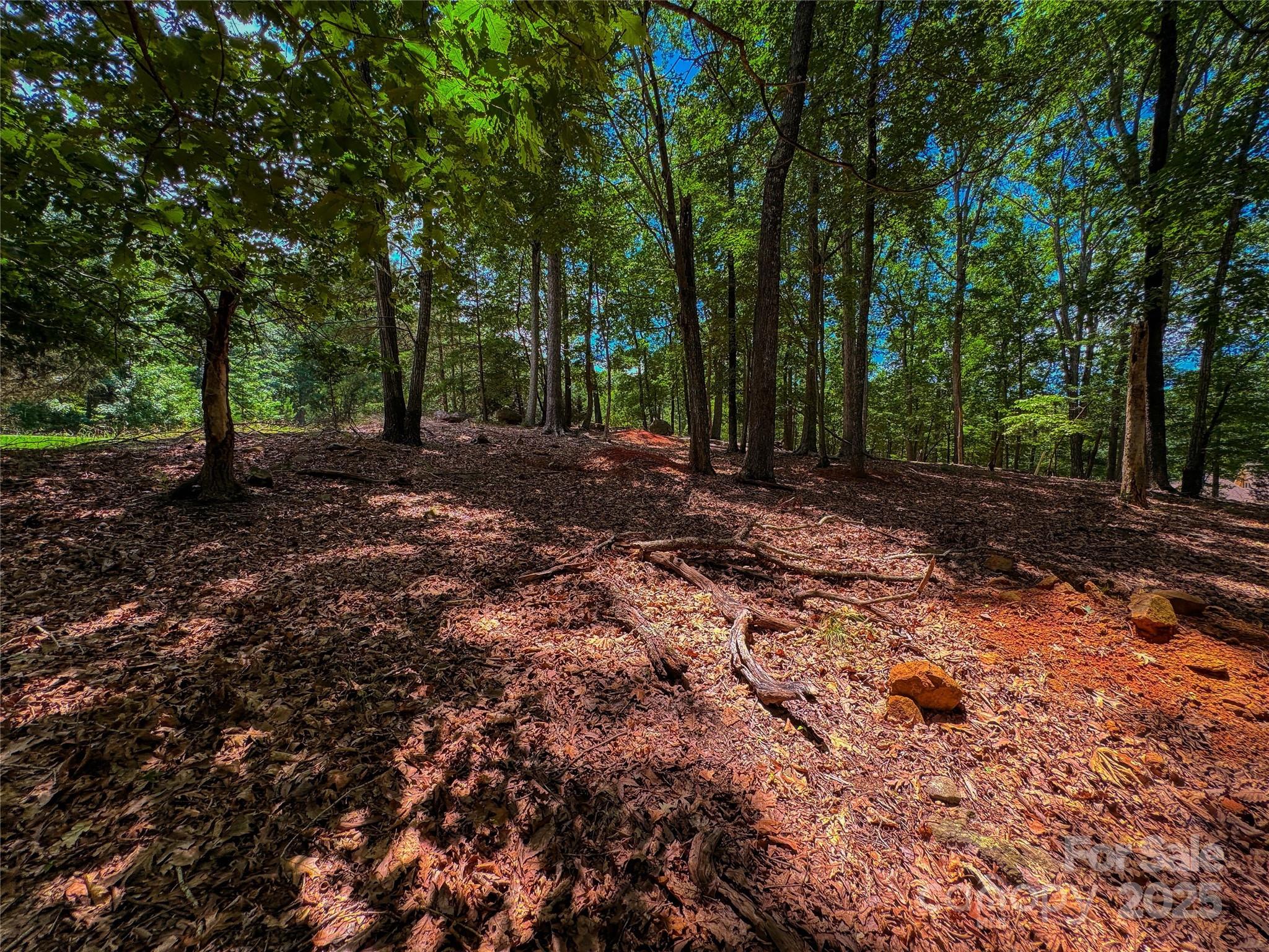 The Springs At High Rock - Land