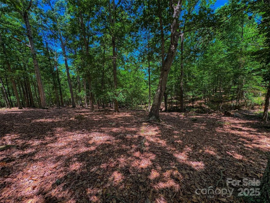 Welcome to 1560 Rocky Cove Ln. Nestled on a spacious 1.65-acre tract. The Springs amenities include a Club House, pool, hot tub, and tennis/pickleball courts, all positioned to maximize views of High Rock Lake. Additional conveniences include boat/RV storage, a community boat ramp, day boat slips, and underground utilities. With the freedom to bring your own architectural plans and builder, you have the opportunity to craft a residence tailored to your unique vision, perfectly complementing the natural splendor of the community. Please note that access to the community requires the presence of a licensed agent at all times, underscoring our commitment to maintaining the utmost standards of privacy and security.