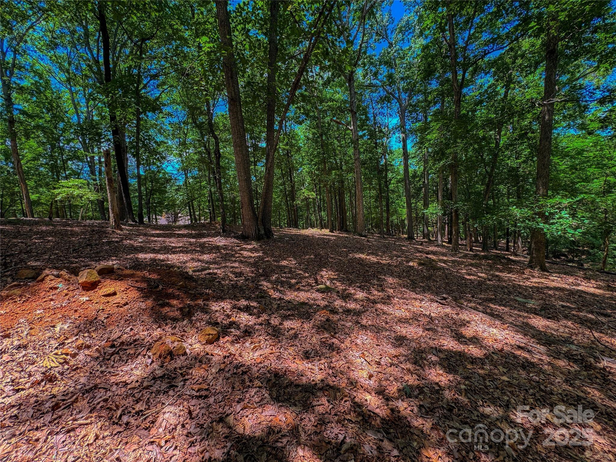The Springs At High Rock - Land