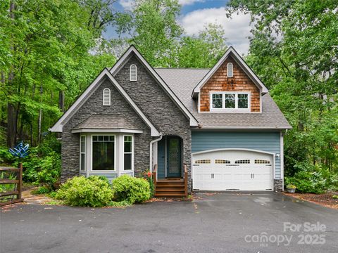17 Bohemian Lane Asheville NC 28805