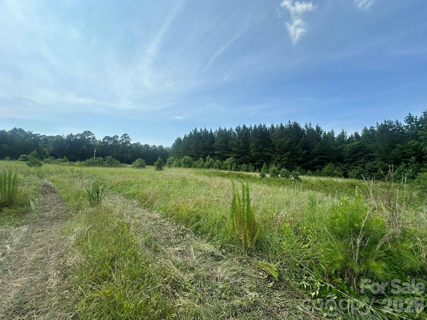 Gorgeous property located in eastern Lincoln county. Land is so hard to find and this property is conveniently located, nicely shaped with plenty of road frontage. It would be perfect for a gated private estate, family compound or development. Zoning is R-T. There is county water available. There is not county sewer currently available so would need septic system. This is approximately 20 acres to be surveyed off of parcel 33907. Rare find for such nice acreage in this area!!