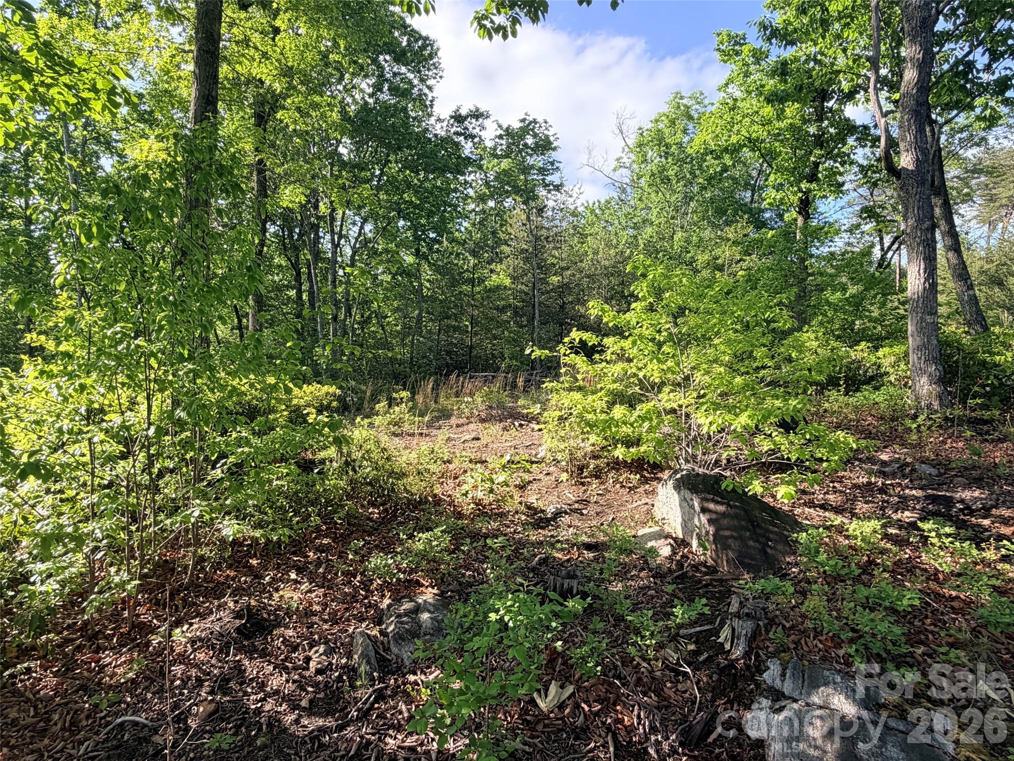 Lot 11 Brookside Parkway