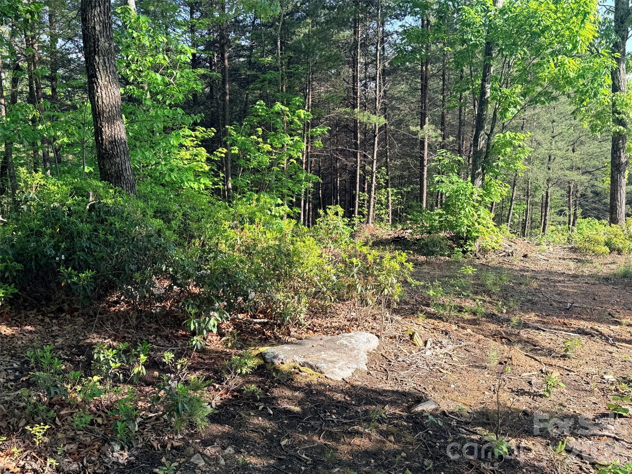 Lot 11 Brookside Parkway