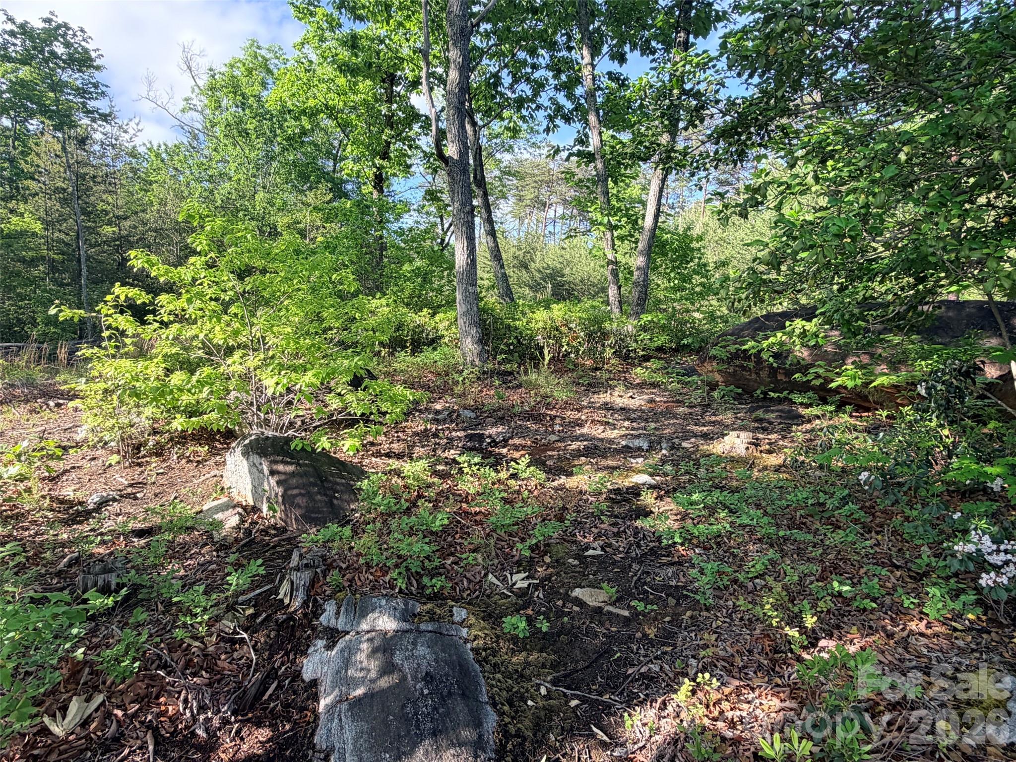 Lot 11 Brookside Parkway