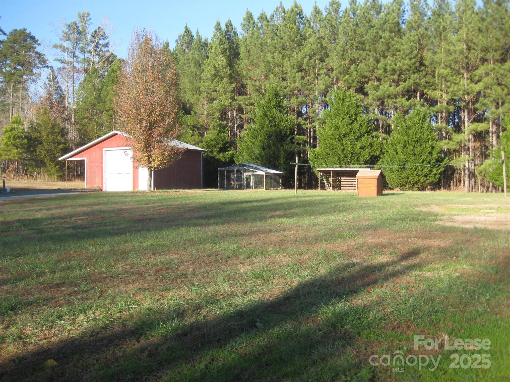 None - Residential Lease